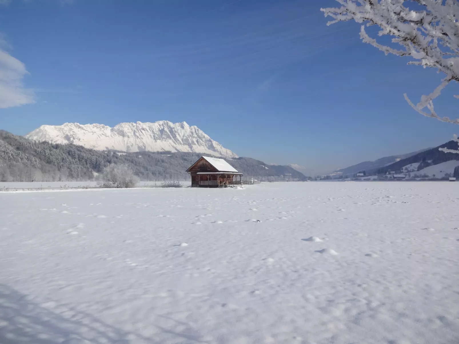 Steiners Blockhütte-Outside