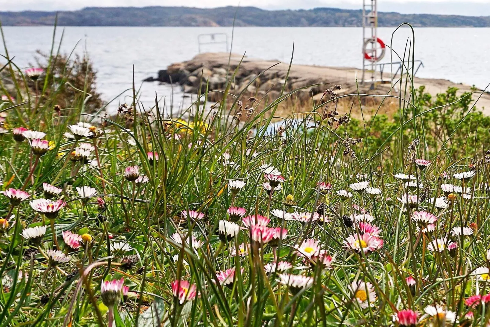4 person holiday home in LYSEKIL-By Traum-View