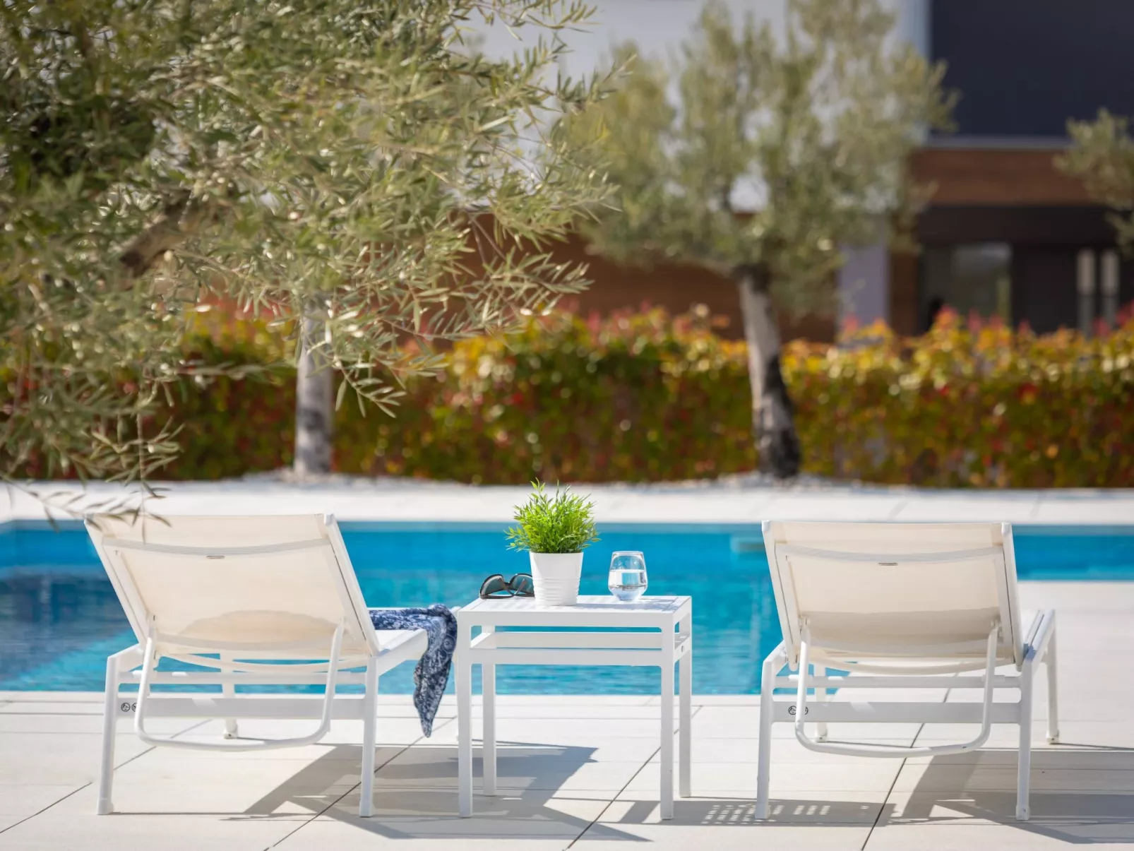 Old Olive VIII-Outside