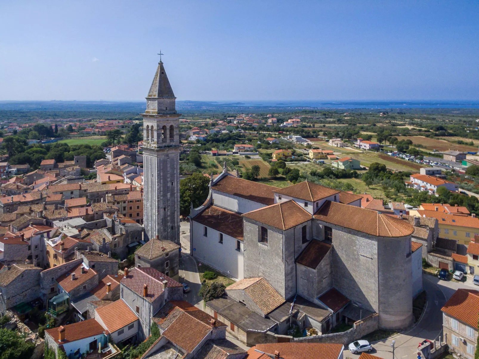 Old Olive VIII-Area