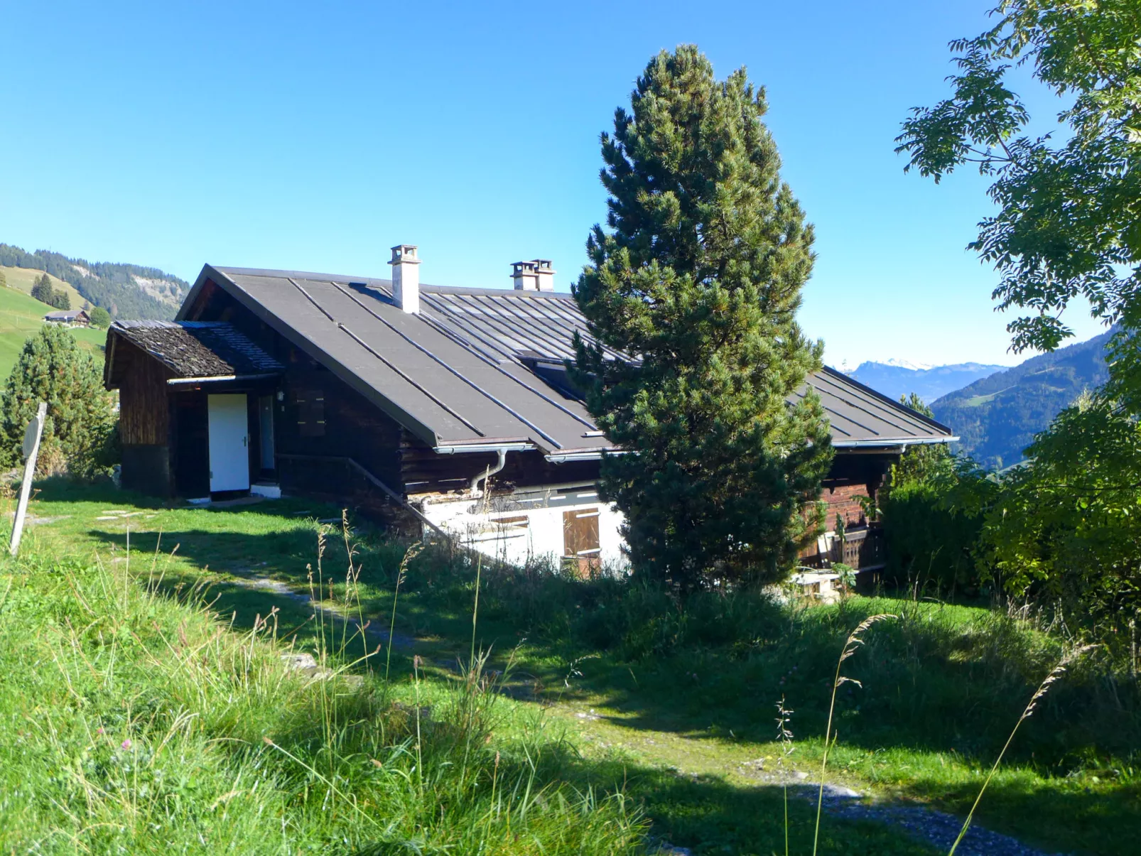 Chalet Anthamatten-Outside
