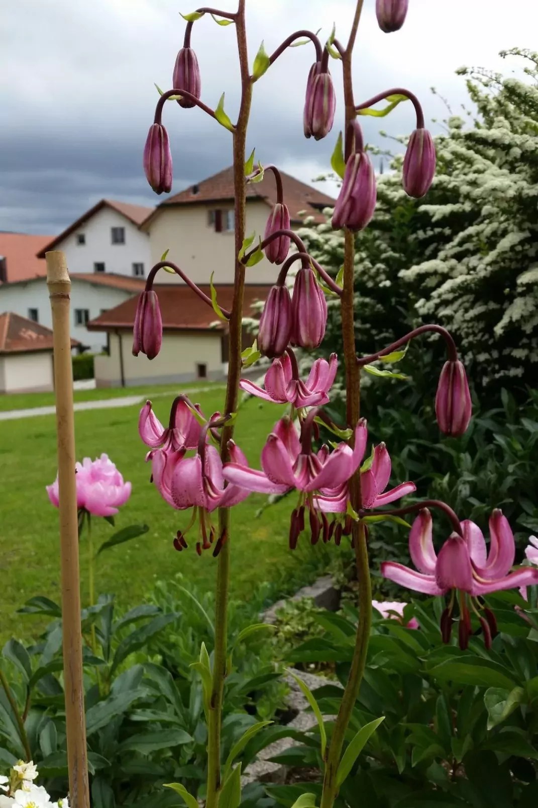 Appartement - Bellevue-Outside