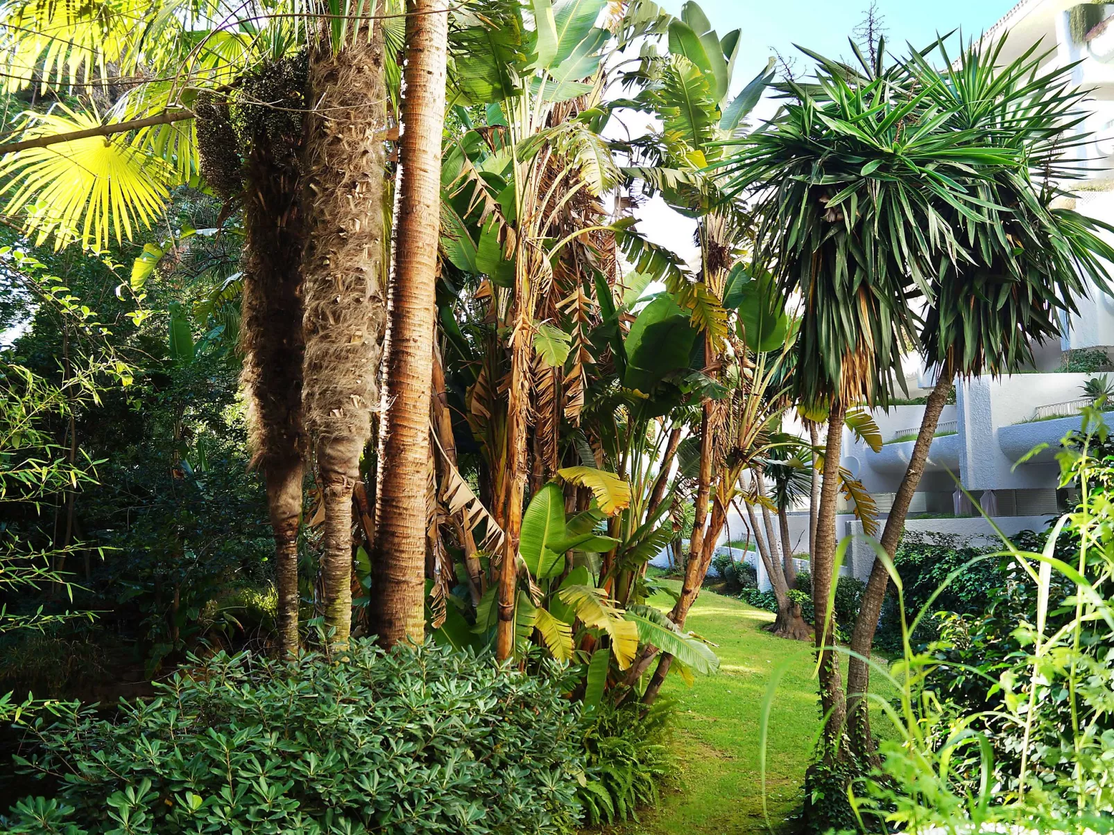 Jardines del Mar-Inside