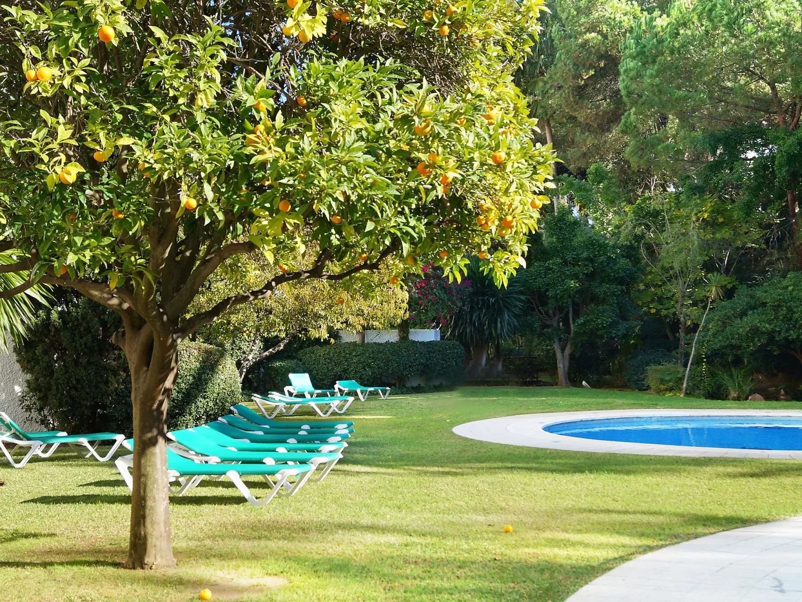 Jardines del Mar-Outside