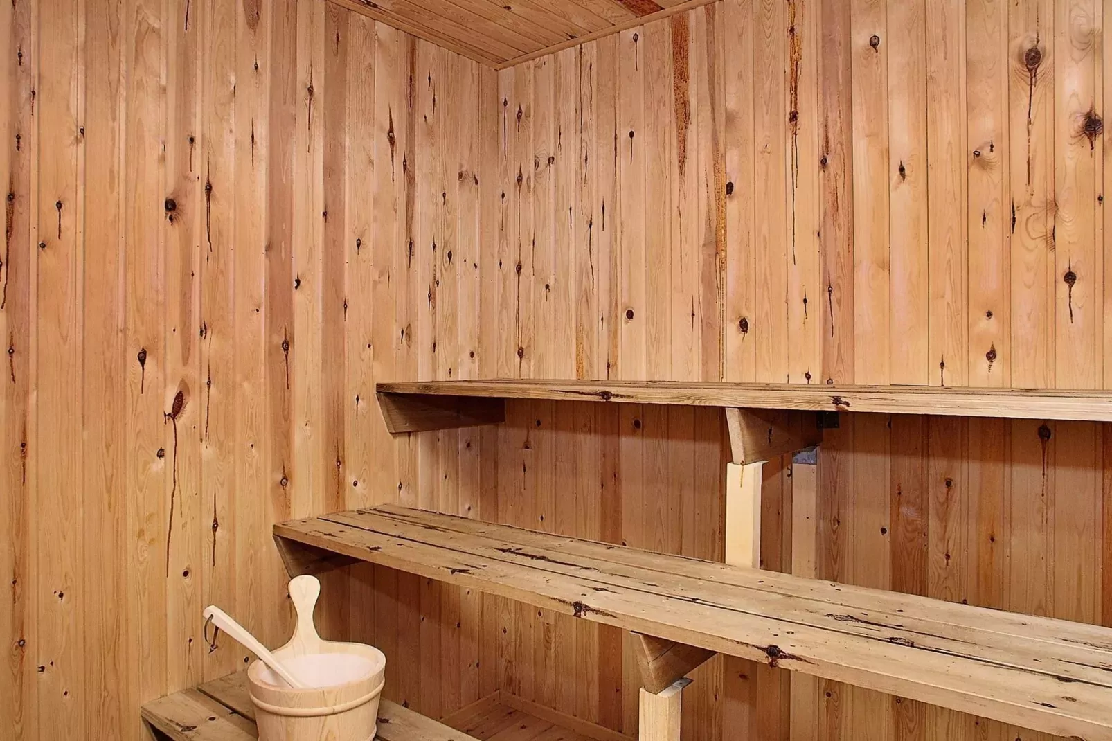 5 Personen Ferienhaus in Frøstrup-Sauna