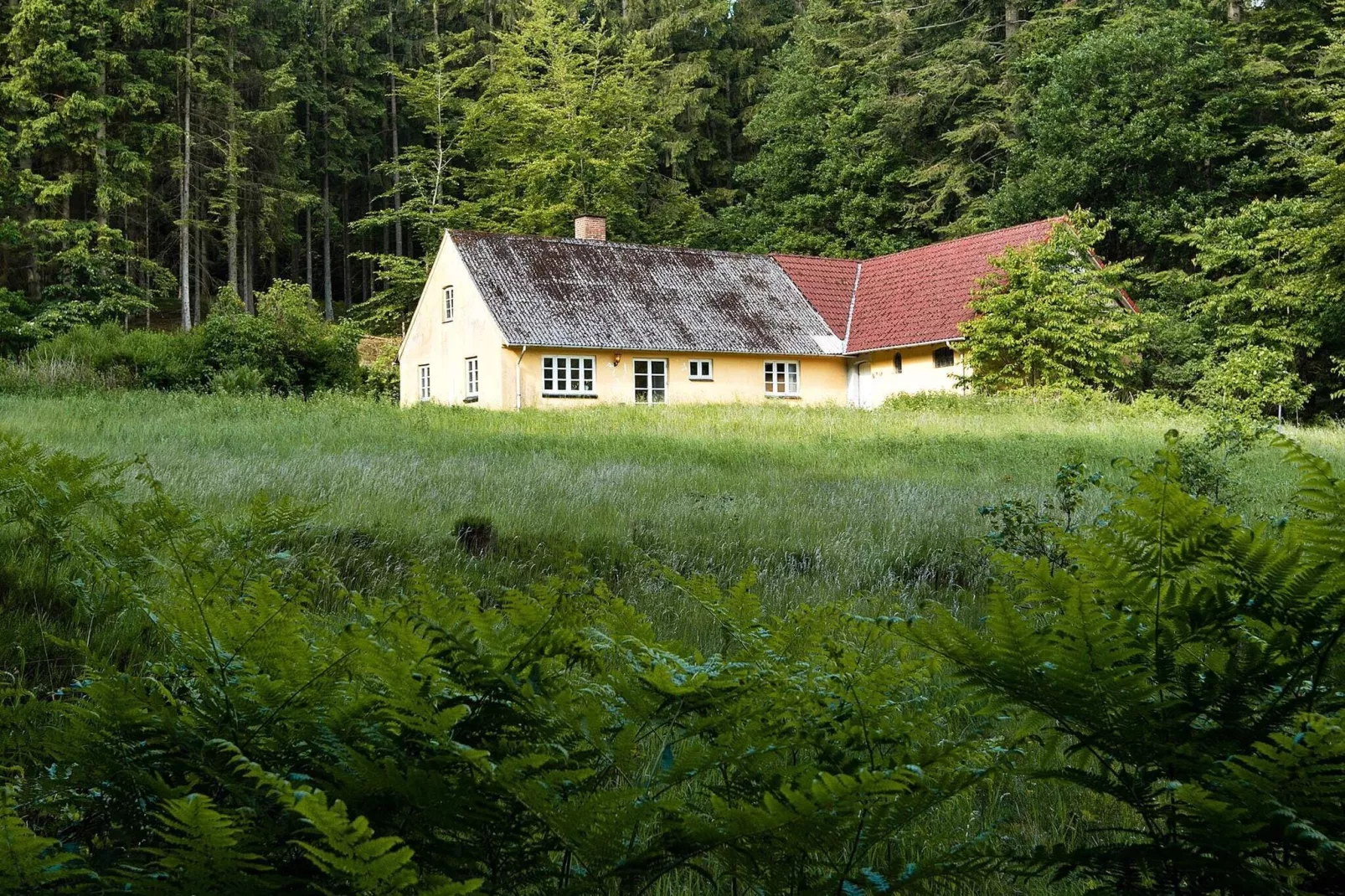 Maison de vacances pour 5 a Skanderborg-By Traum