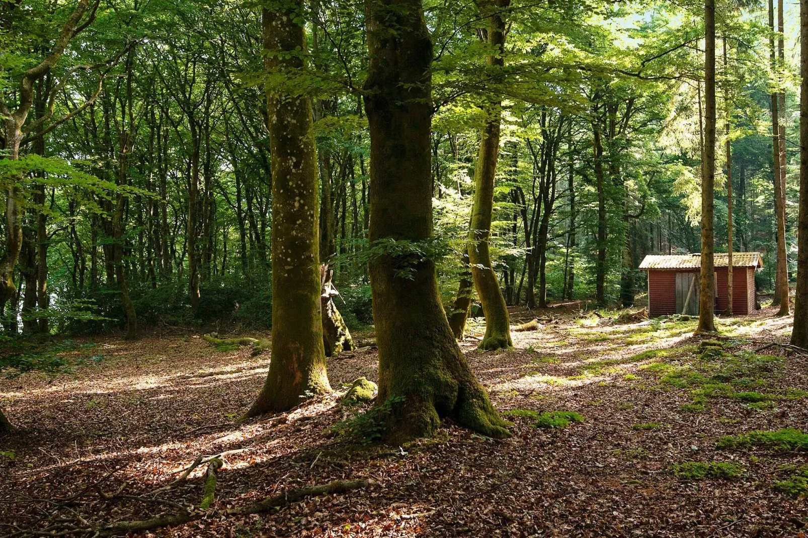 5 person holiday home in Skanderborg-By Traum-Not tagged