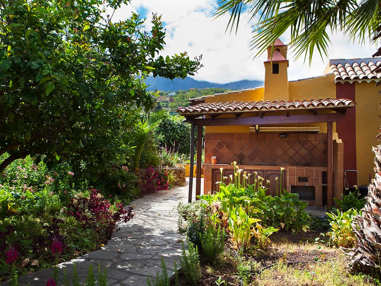 Camino La Candelaria-Inside