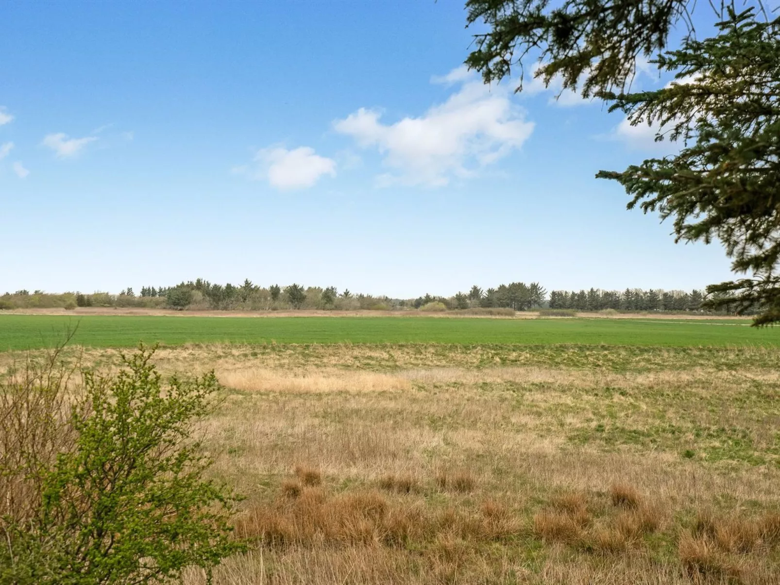 "Harri" - 850m from the sea-Outside