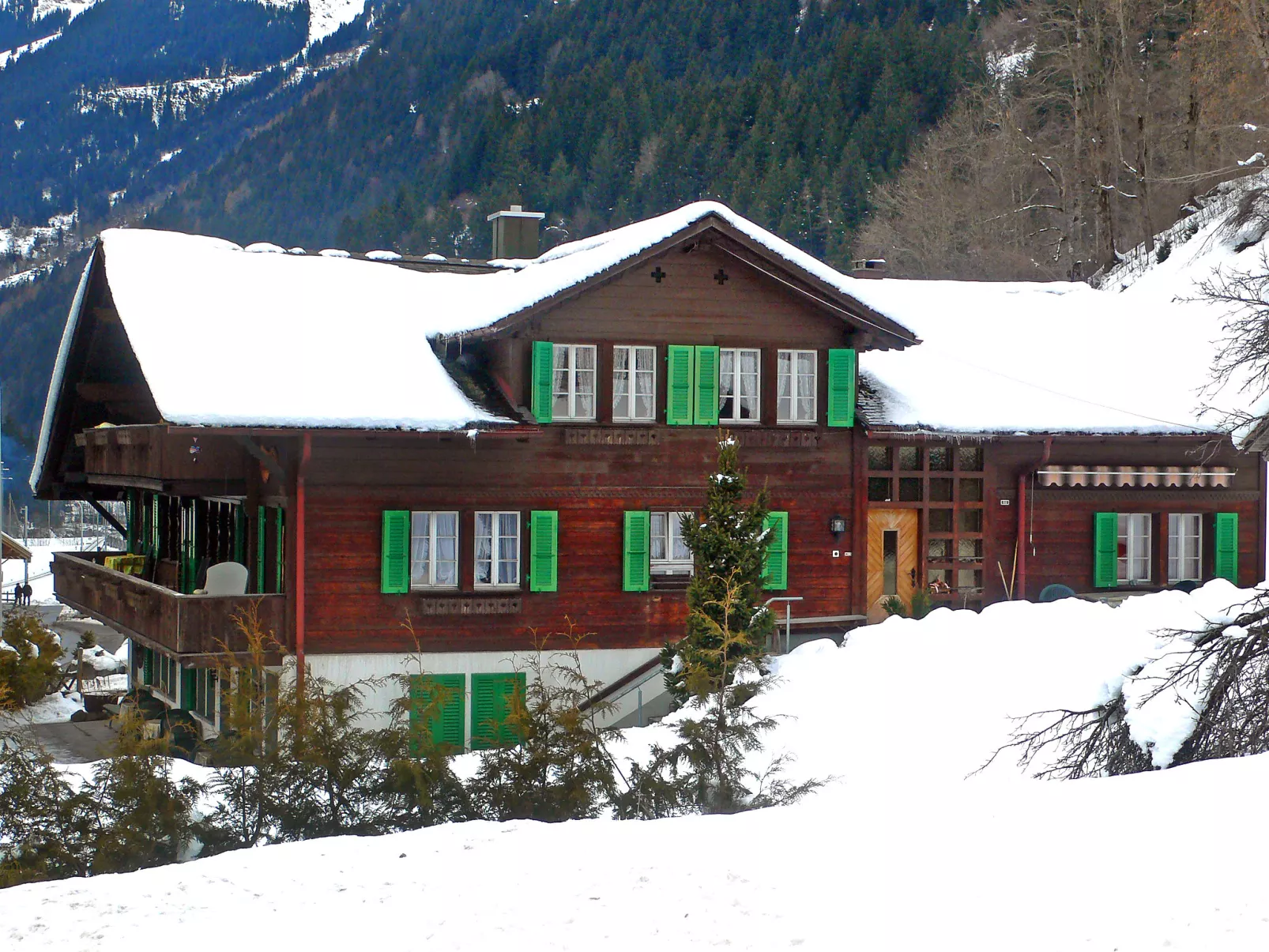 Chalet Schwendihus-Outside