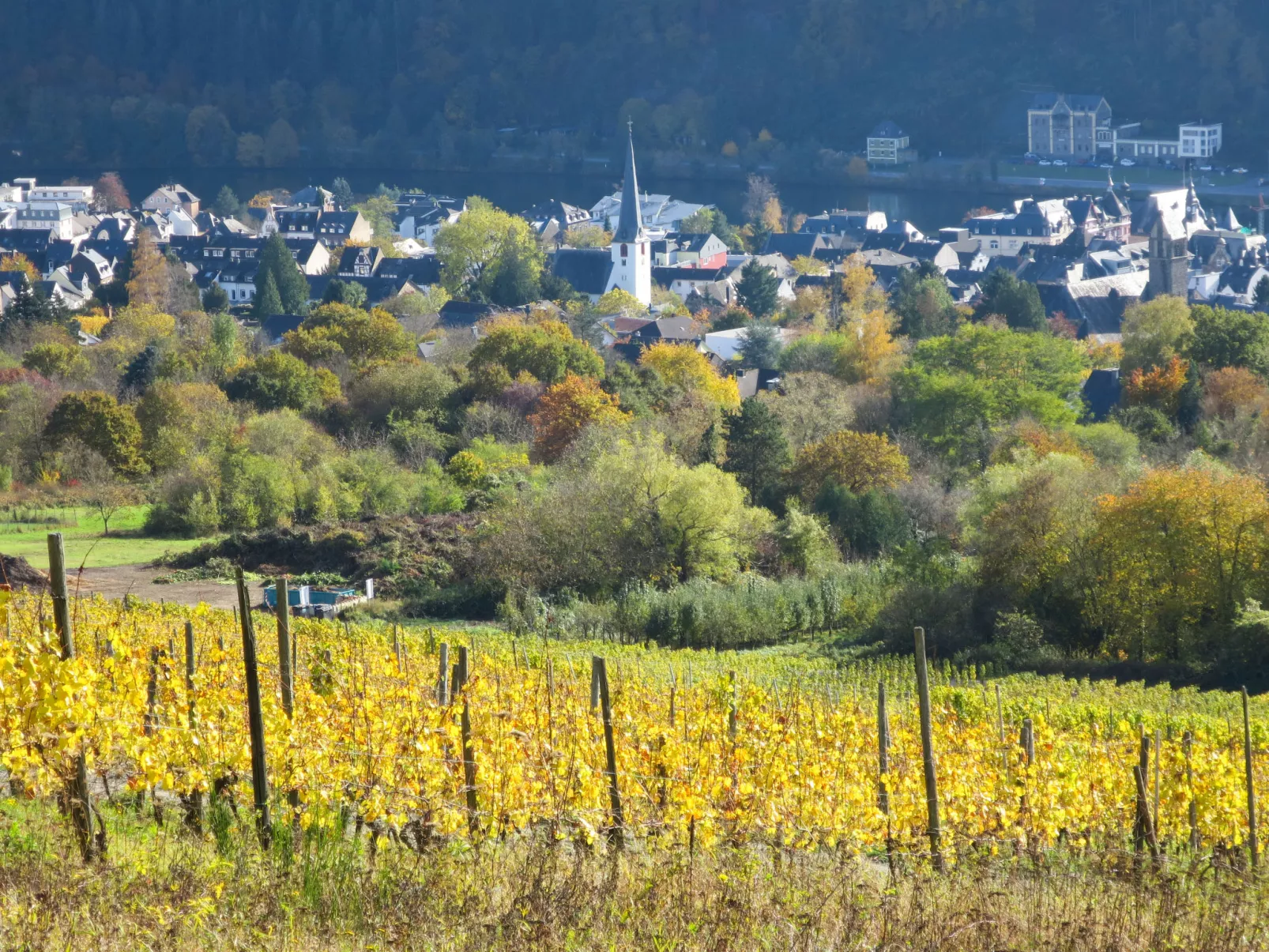 Weingut Krempel-Area