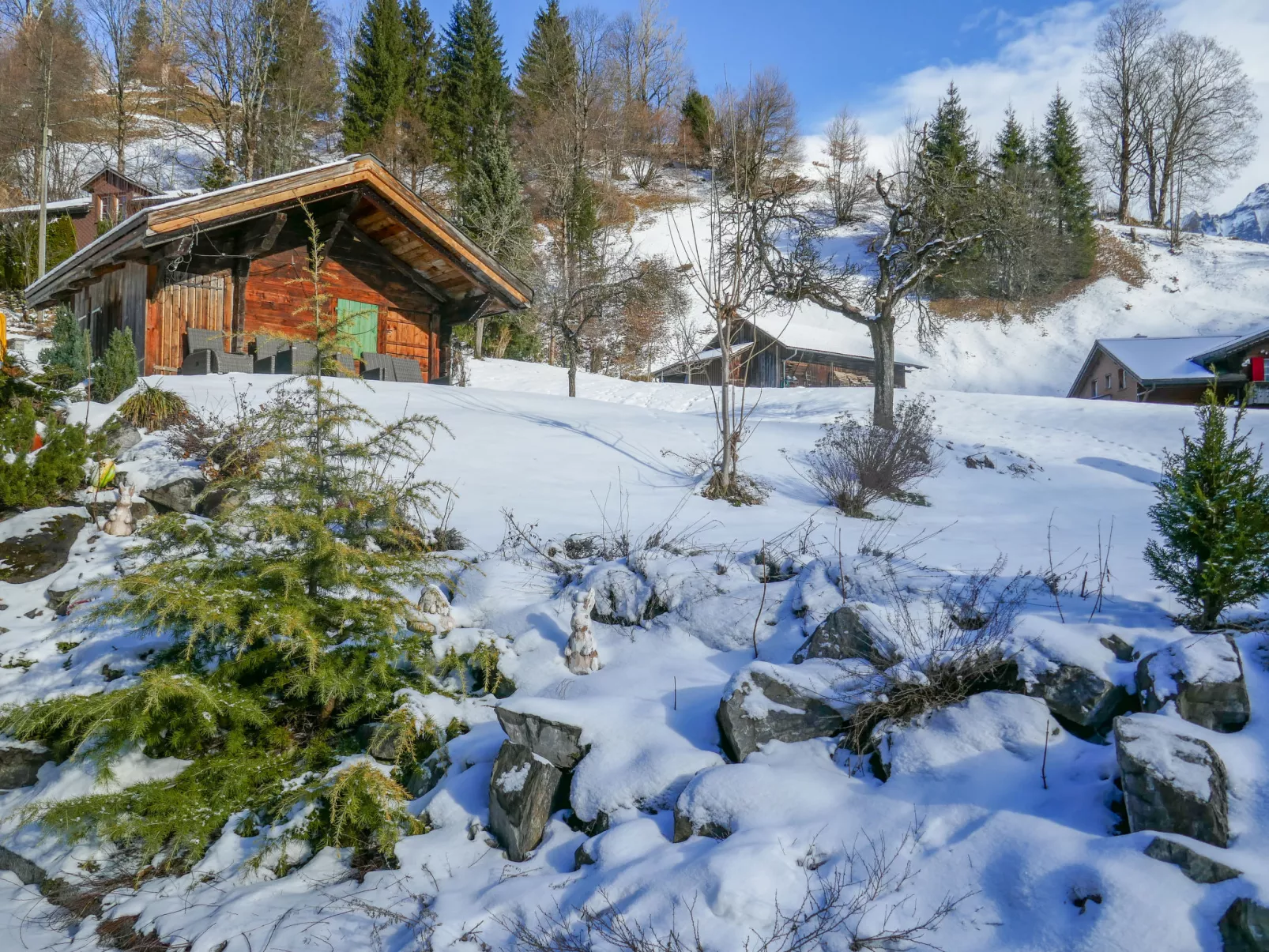 Chalet Schwendihus-Draußen