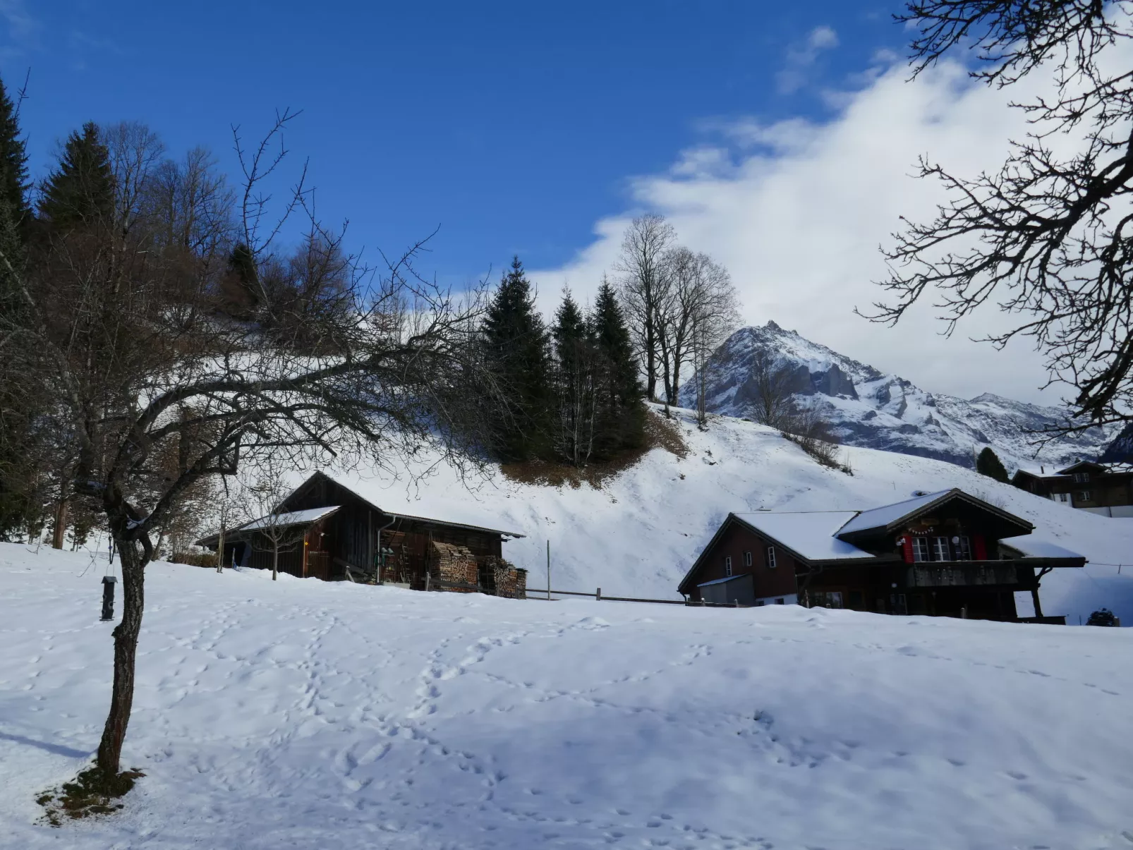 Schwendihus-Outside
