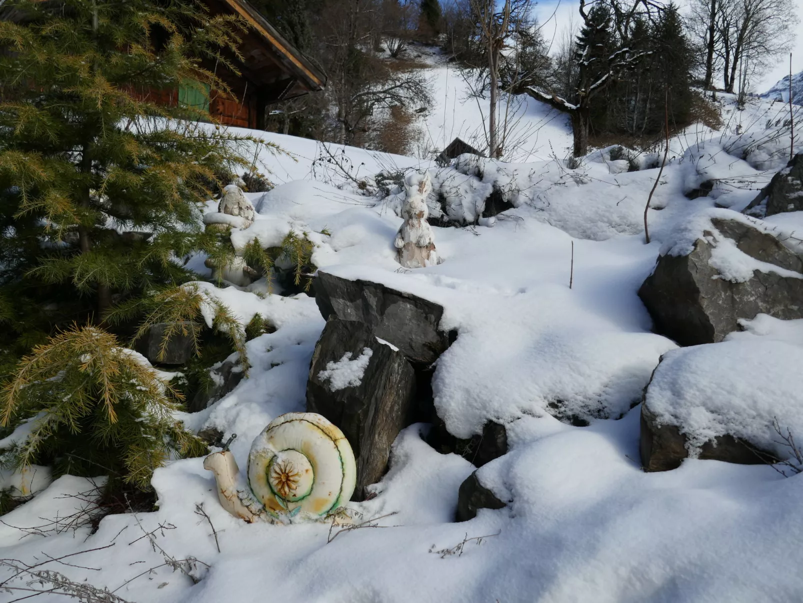 Chalet Schwendihus-Draußen