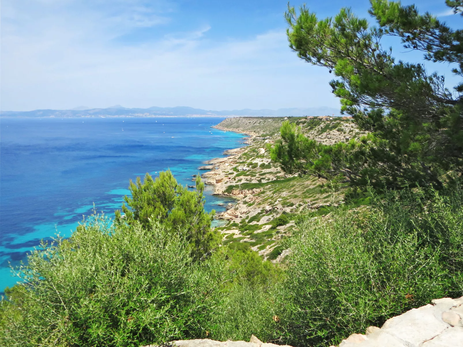 Cap Blanc-Area