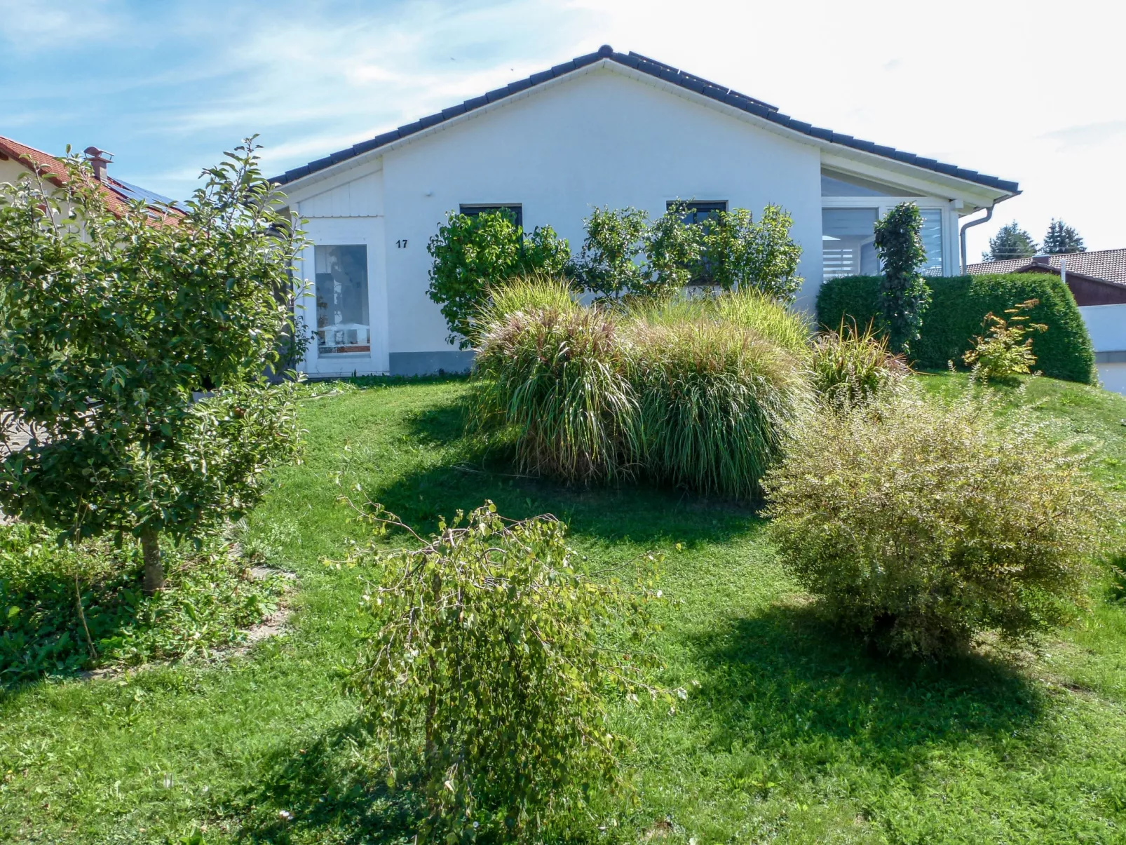 Nest-Dehors