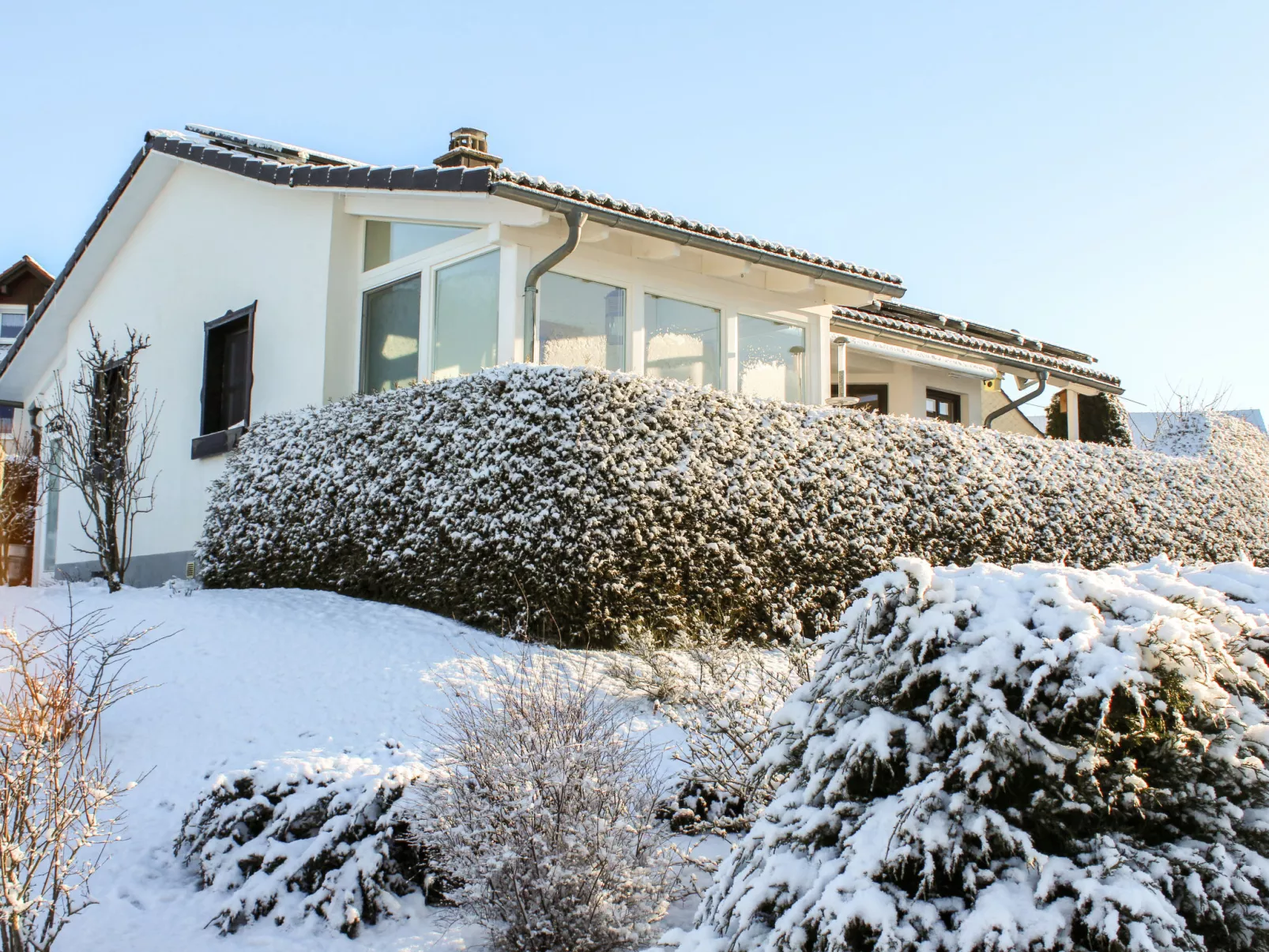 Nest-Dehors
