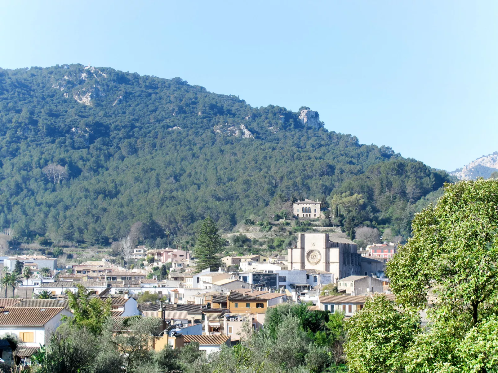 S'Hort des Verger-Area