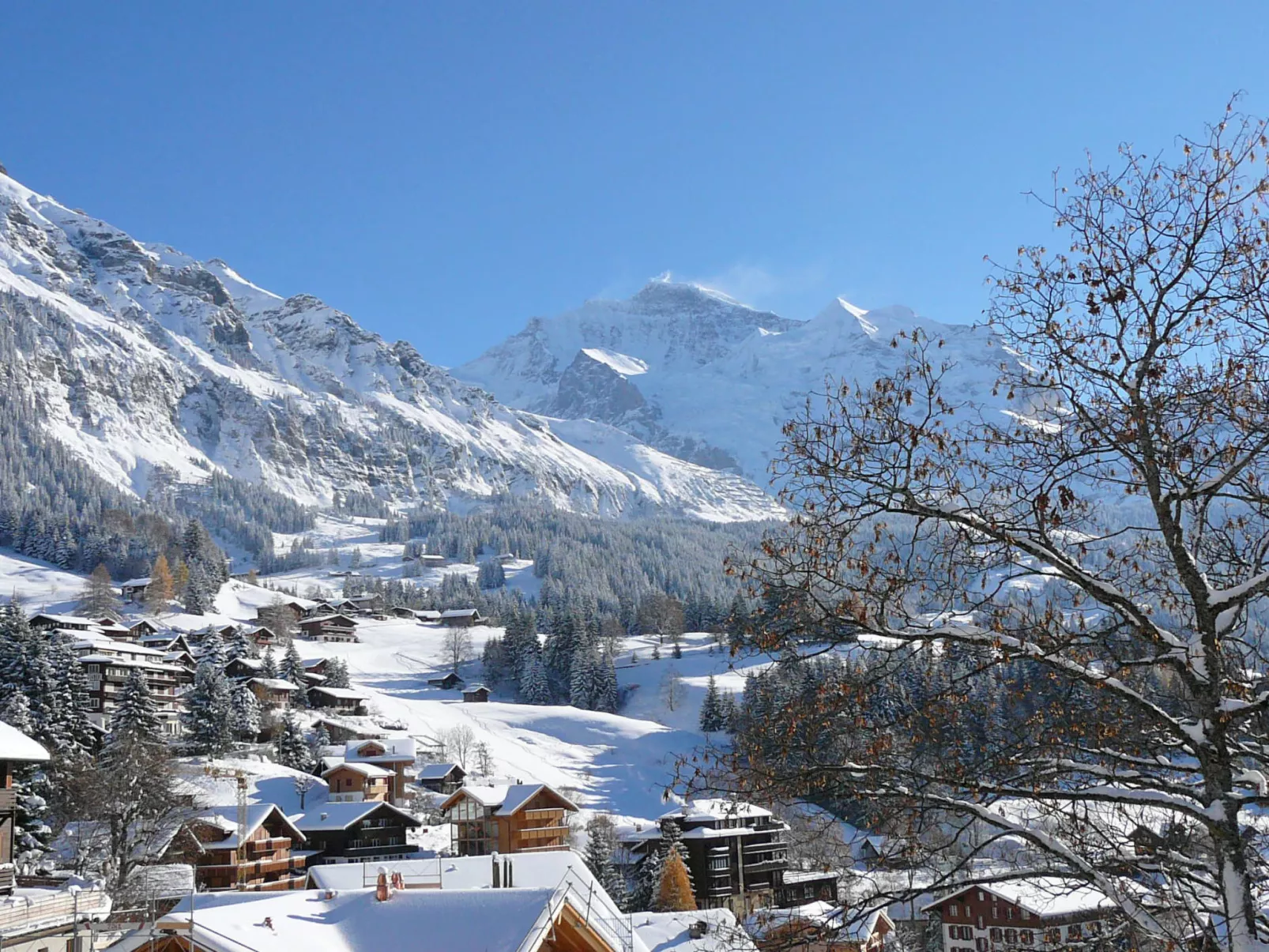 Jungfrau a d Ledi-Umgebung