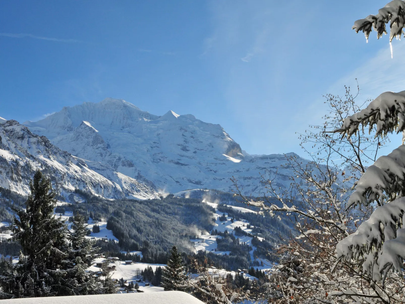 Jungfrau a d Ledi-Umgebung