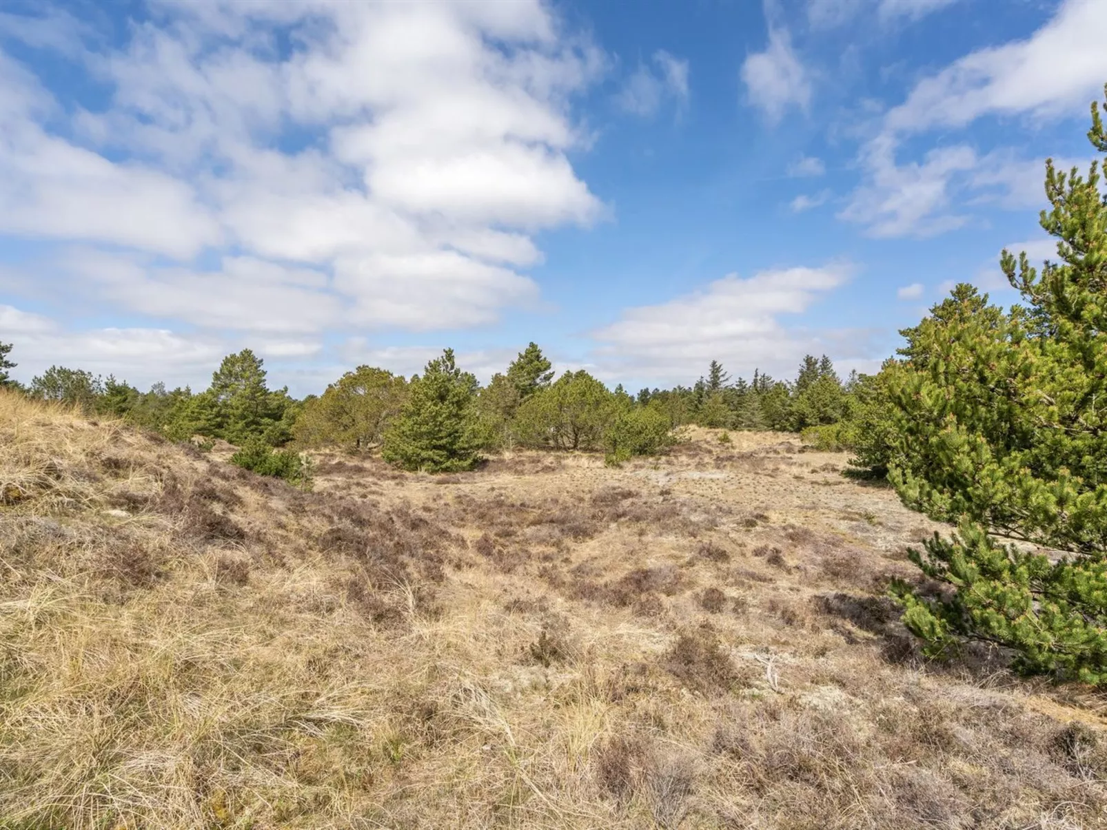 "Absolon" - 1.5km from the sea-Outside