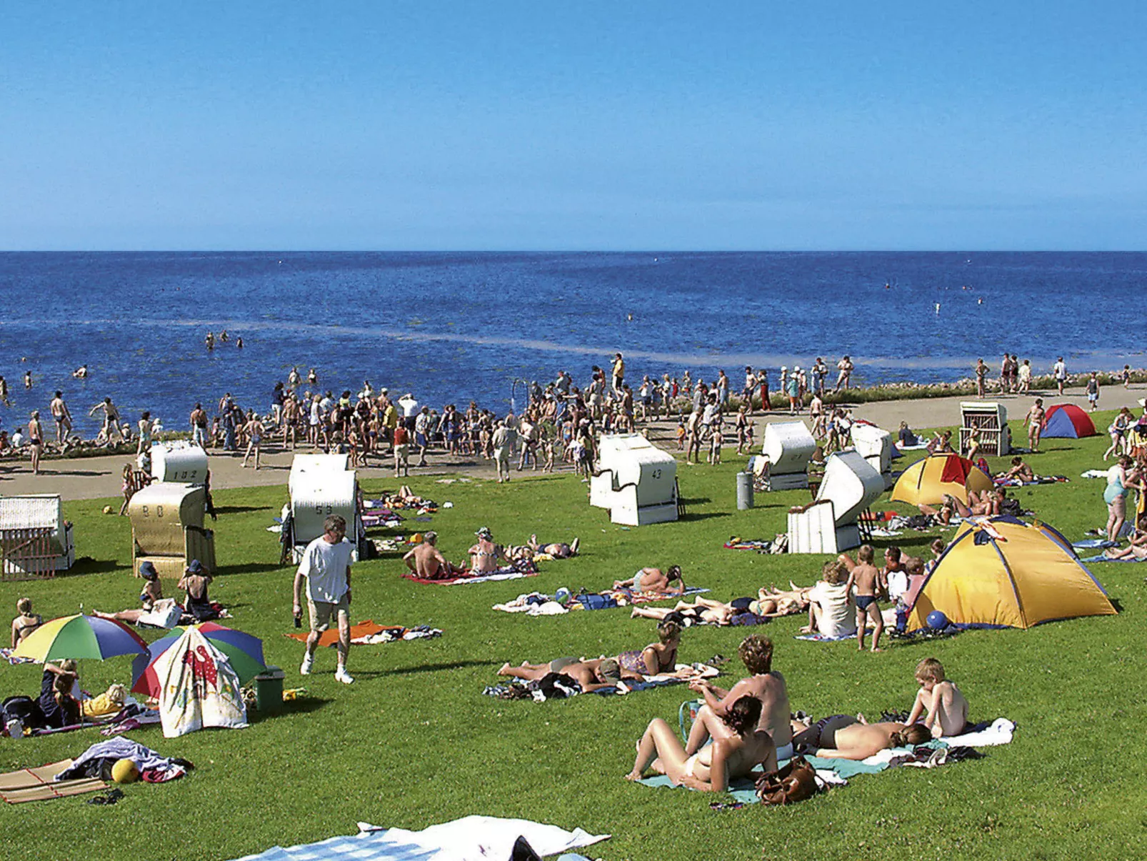 Nordsee-Ferienhaus-Area