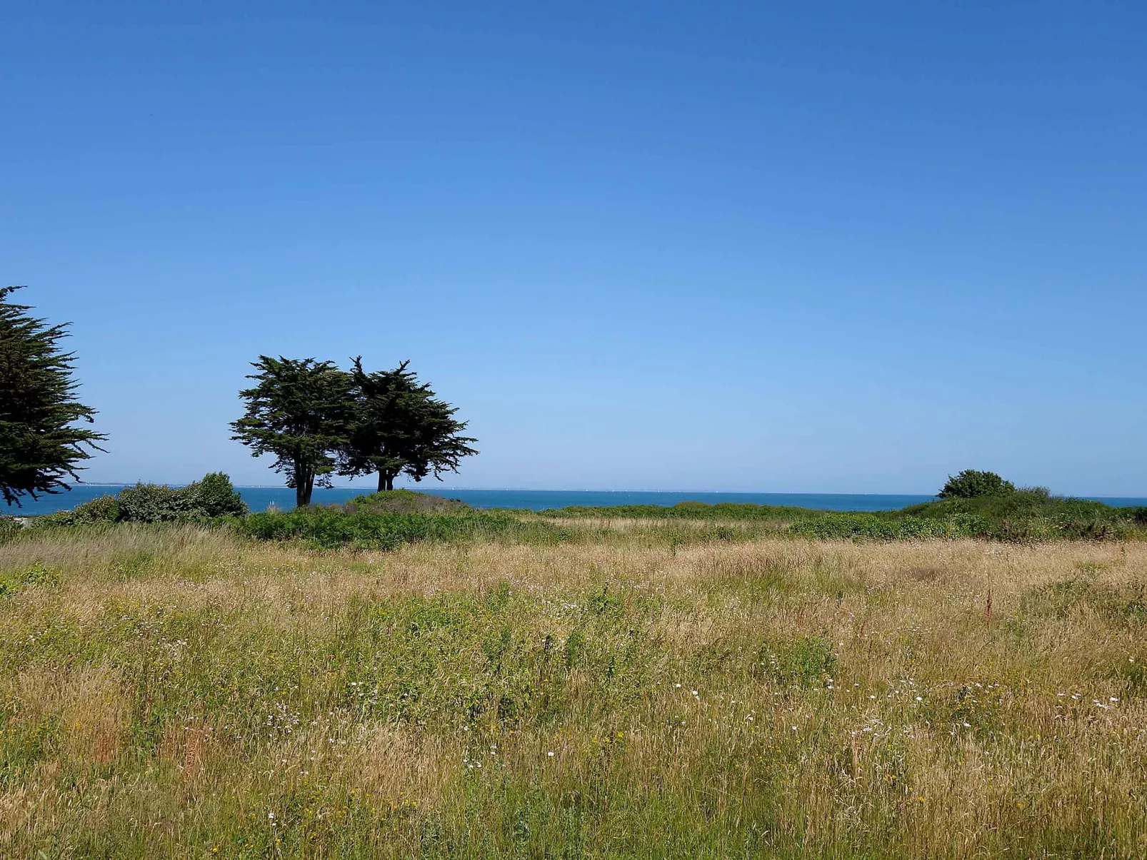 Domaine de la Greve-Outside