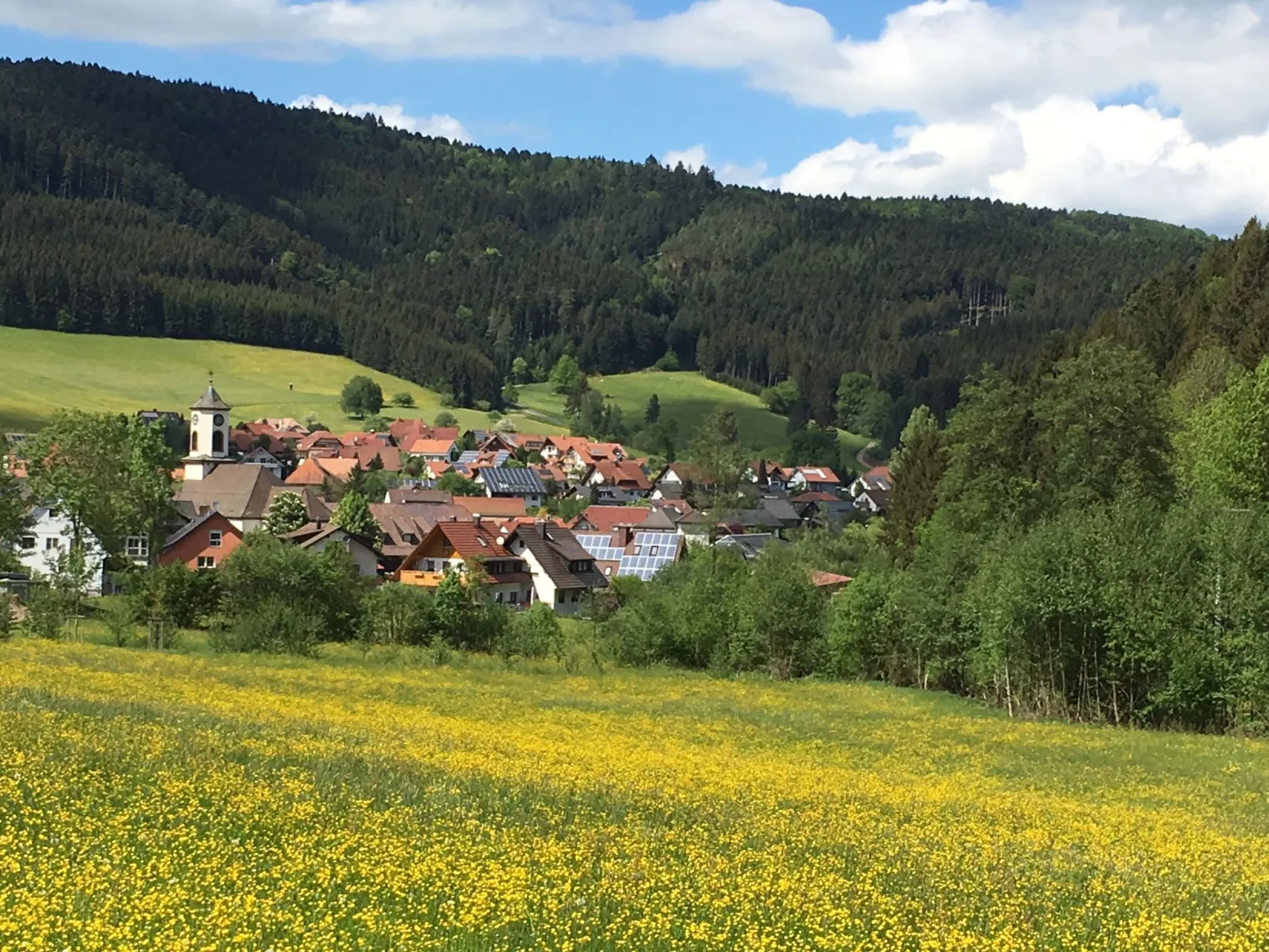 Am Bächle-Area