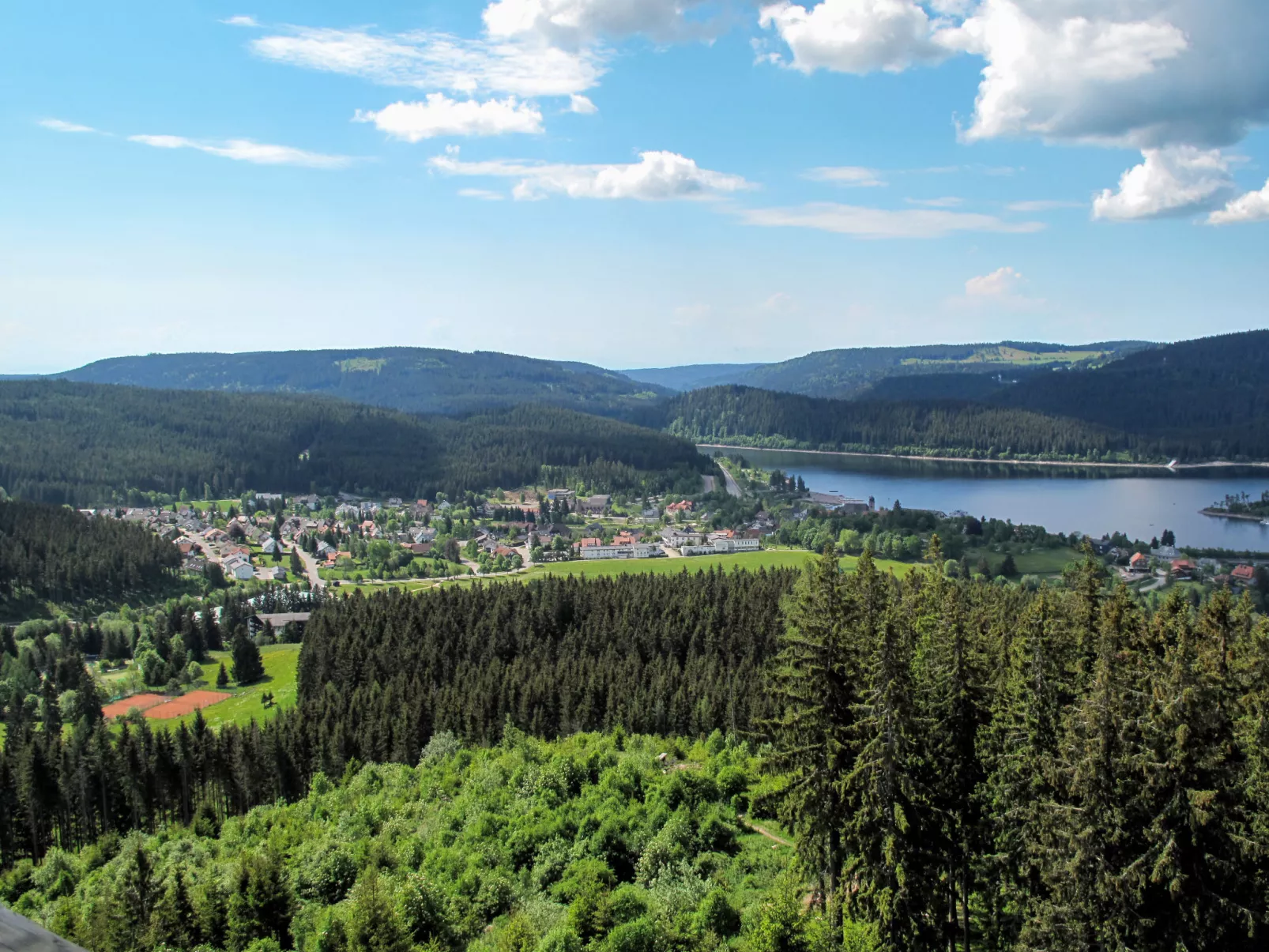 Schleuniger-Area