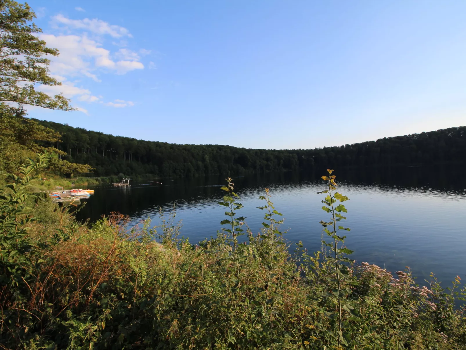 Eifelnatur (Haus 1)-Area