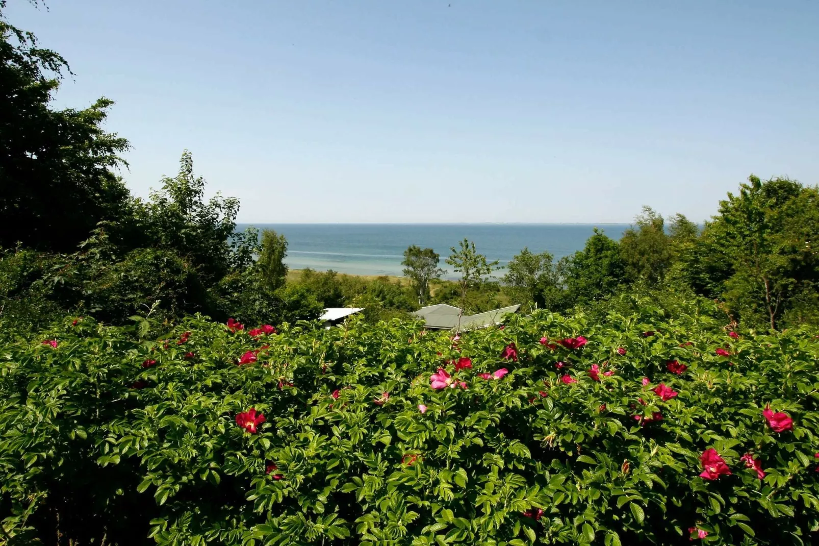4 person holiday home in Asnæs-View