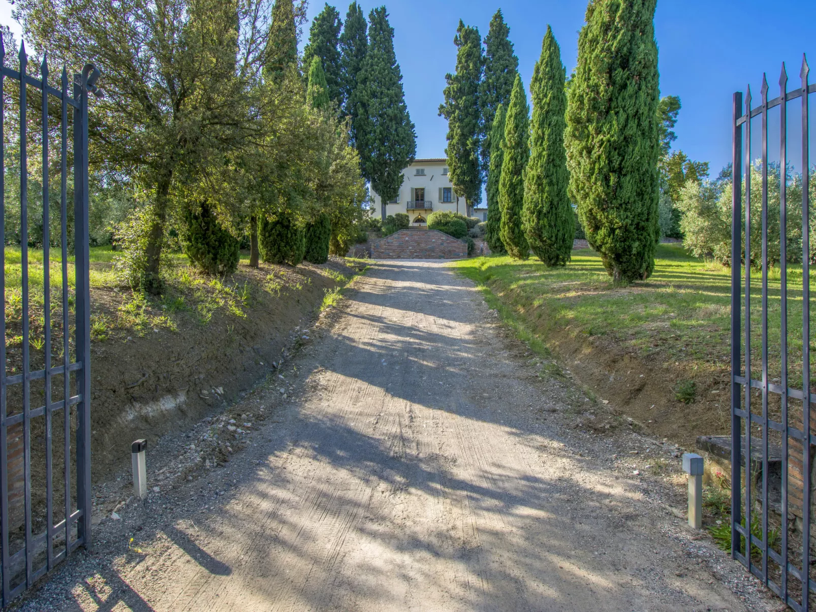 Di Vinci