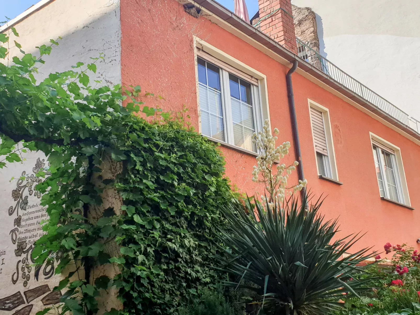 Dachsuite-Outside