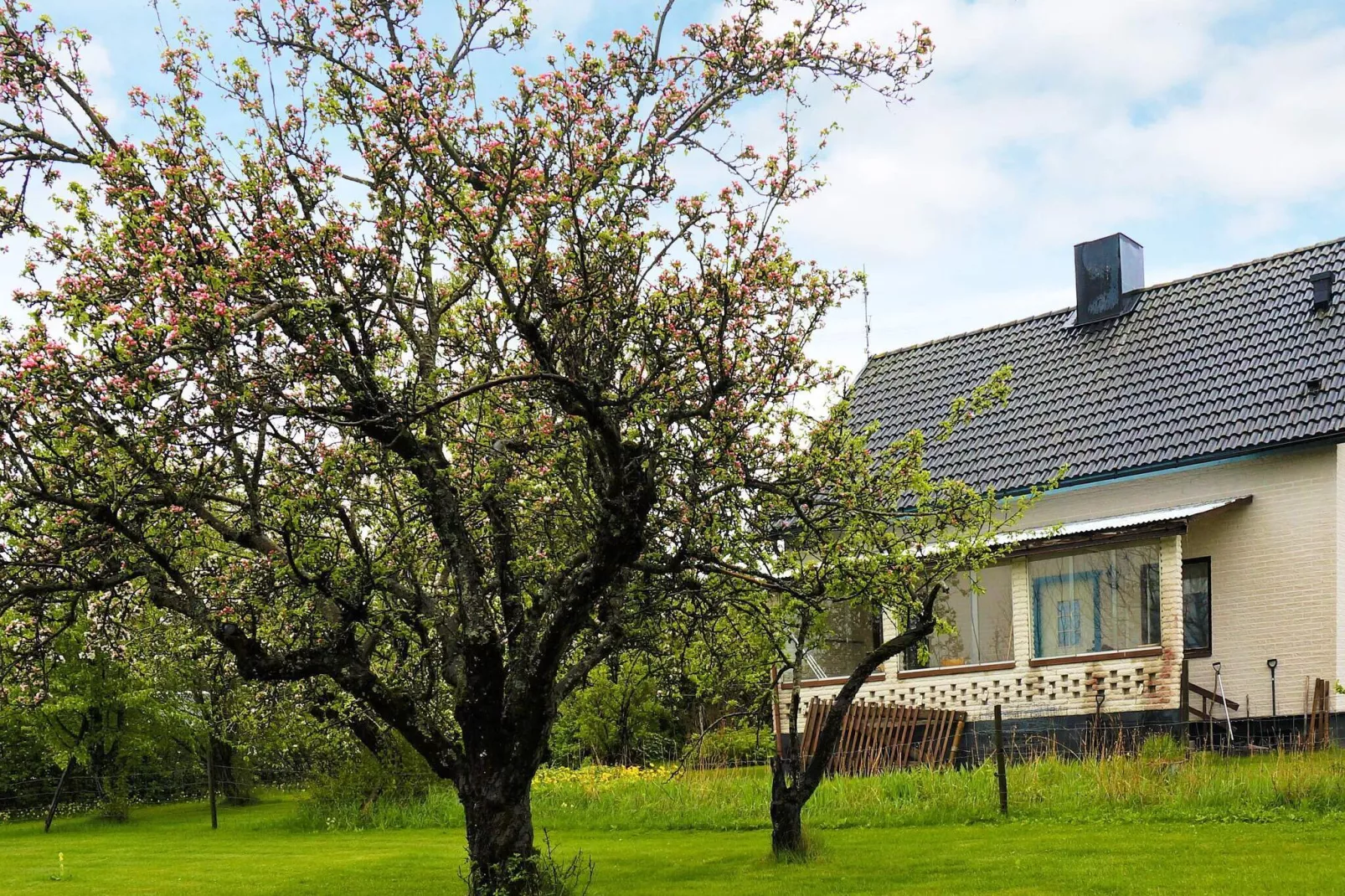 8 person holiday home in HOVA-By Traum-Outdoor