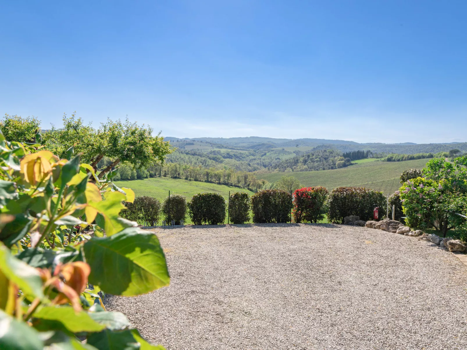 Vineyard View-Outside