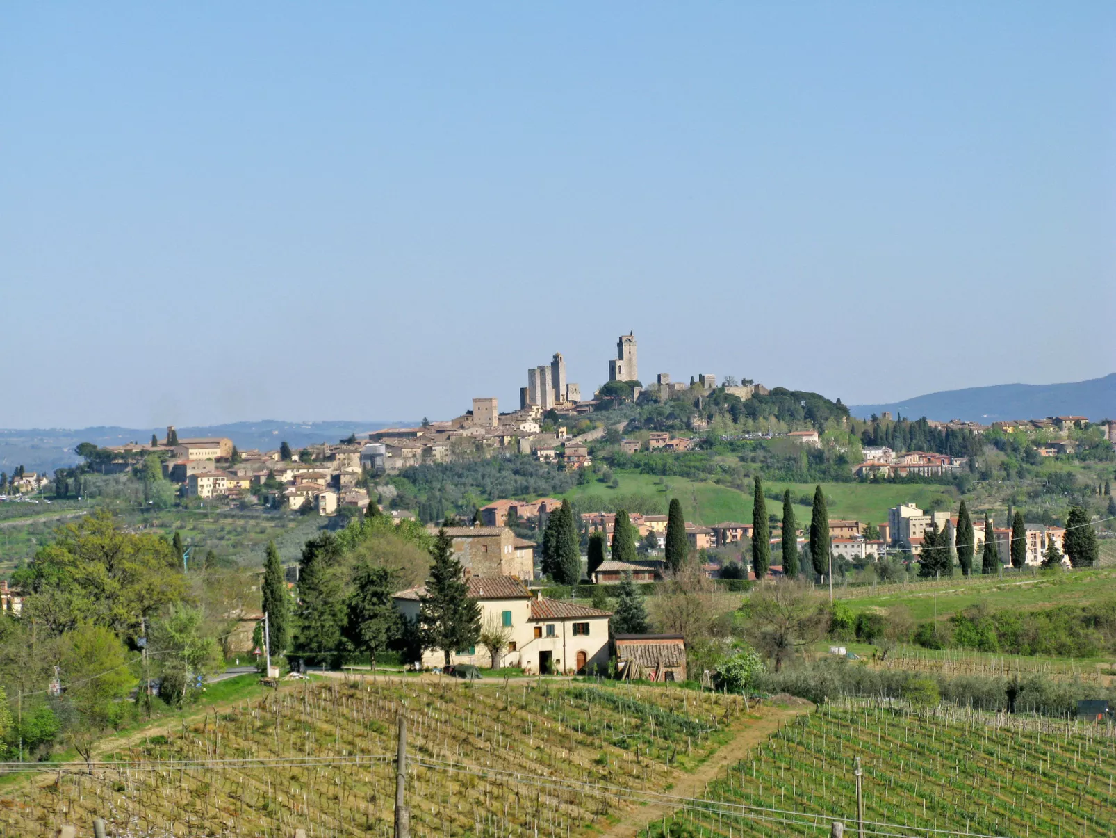 Vineyard View-Area