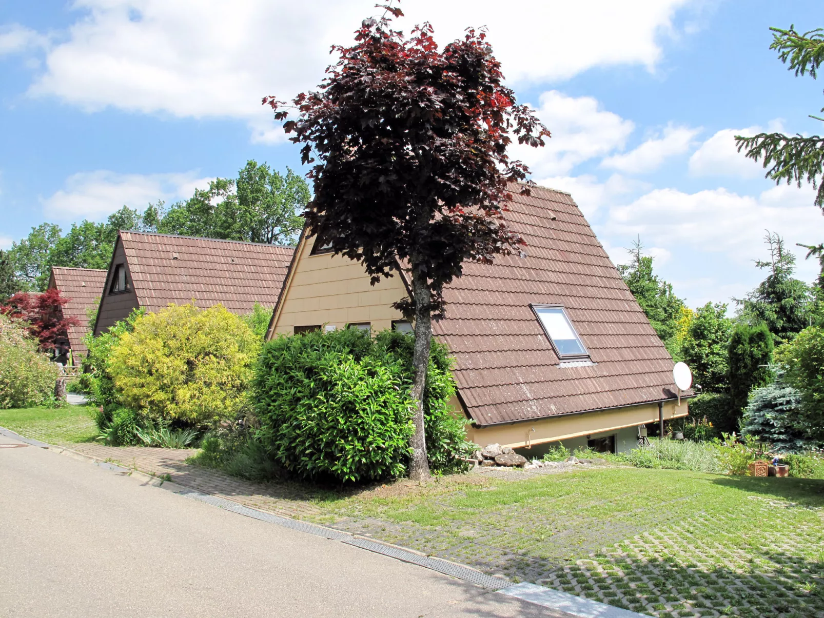 Riedblick I-Dehors