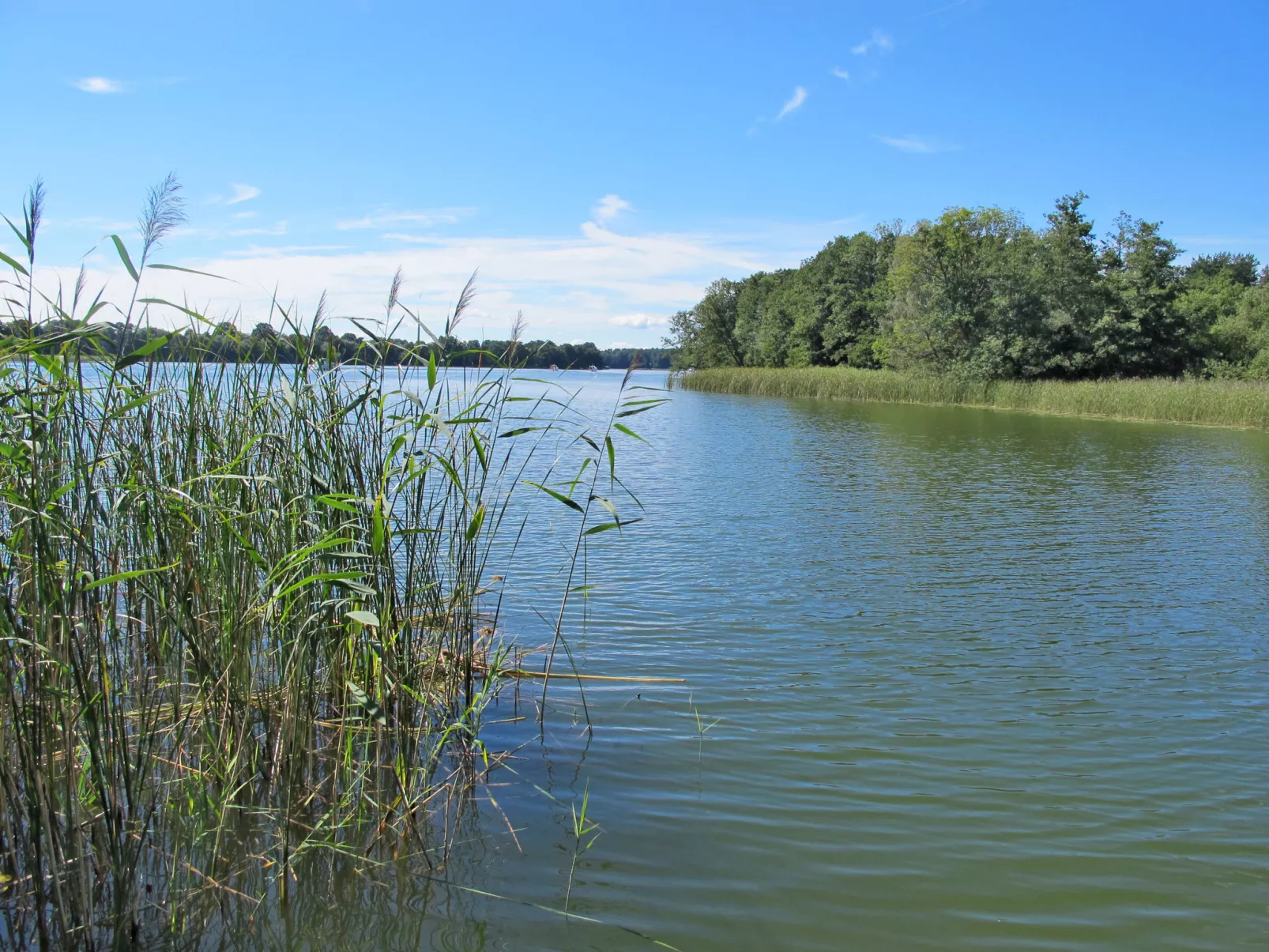 Am Pälitzsee-Outside