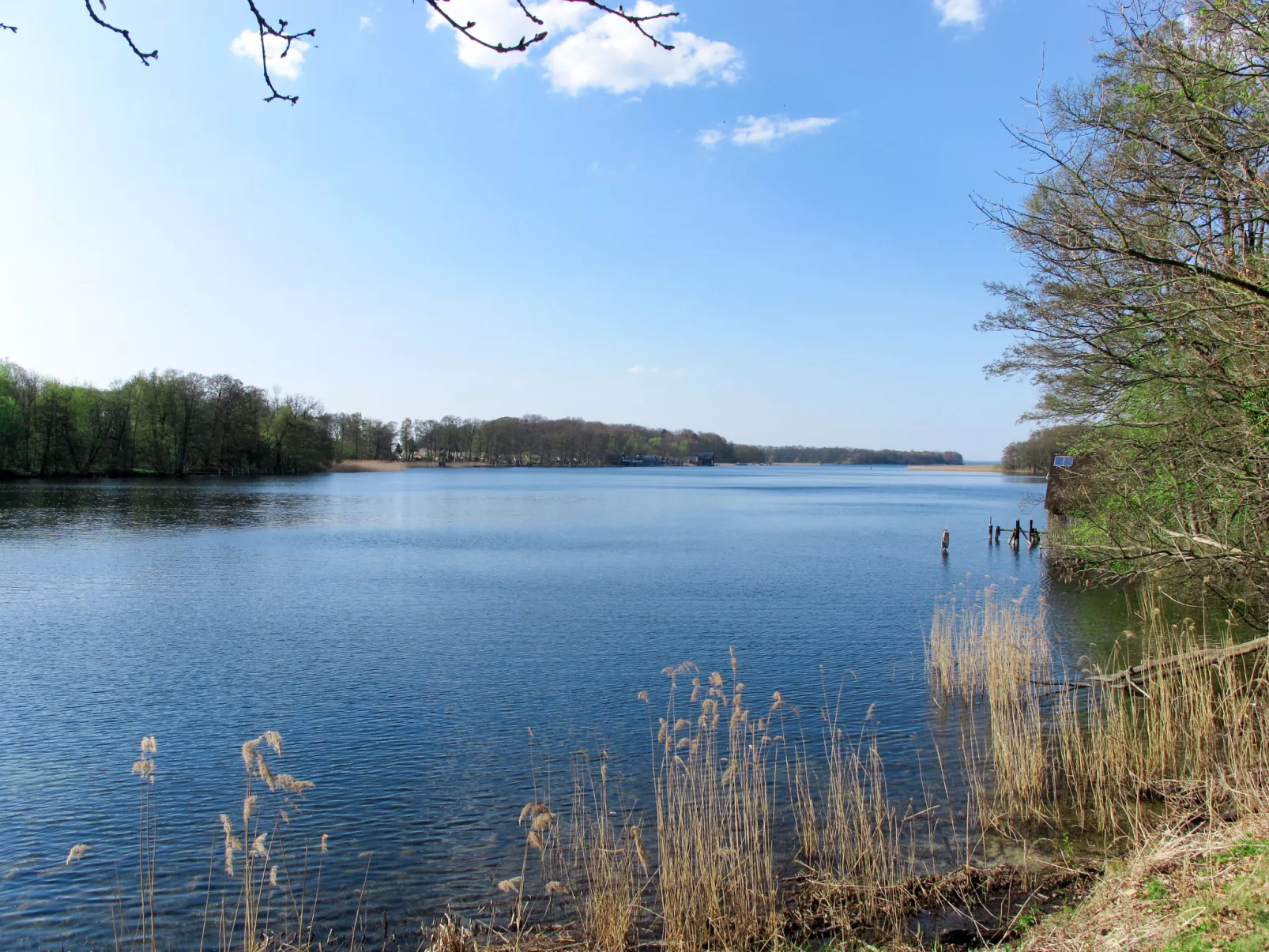 Am Park-Umgebung