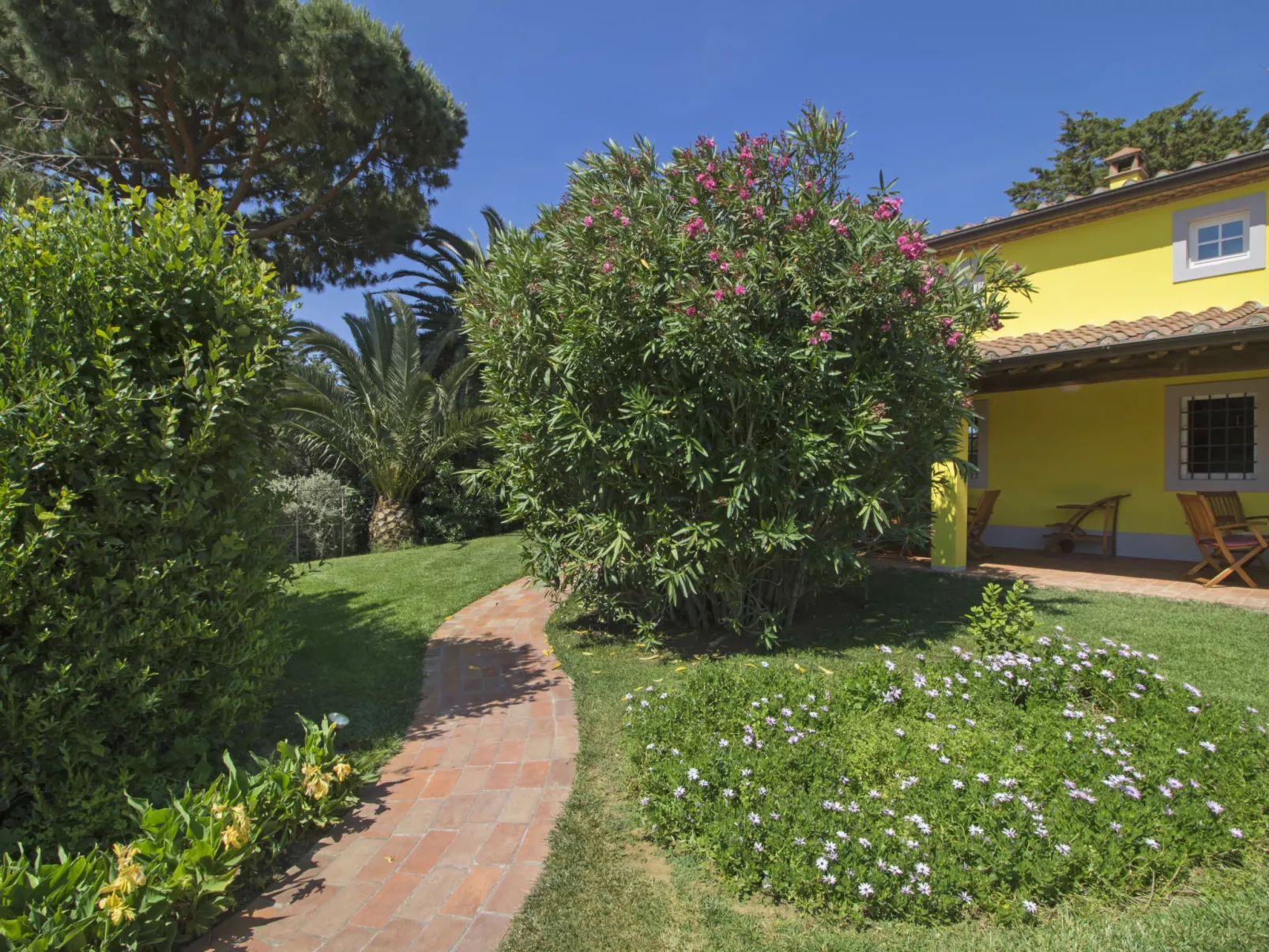 Villa il Pellicano-Outside