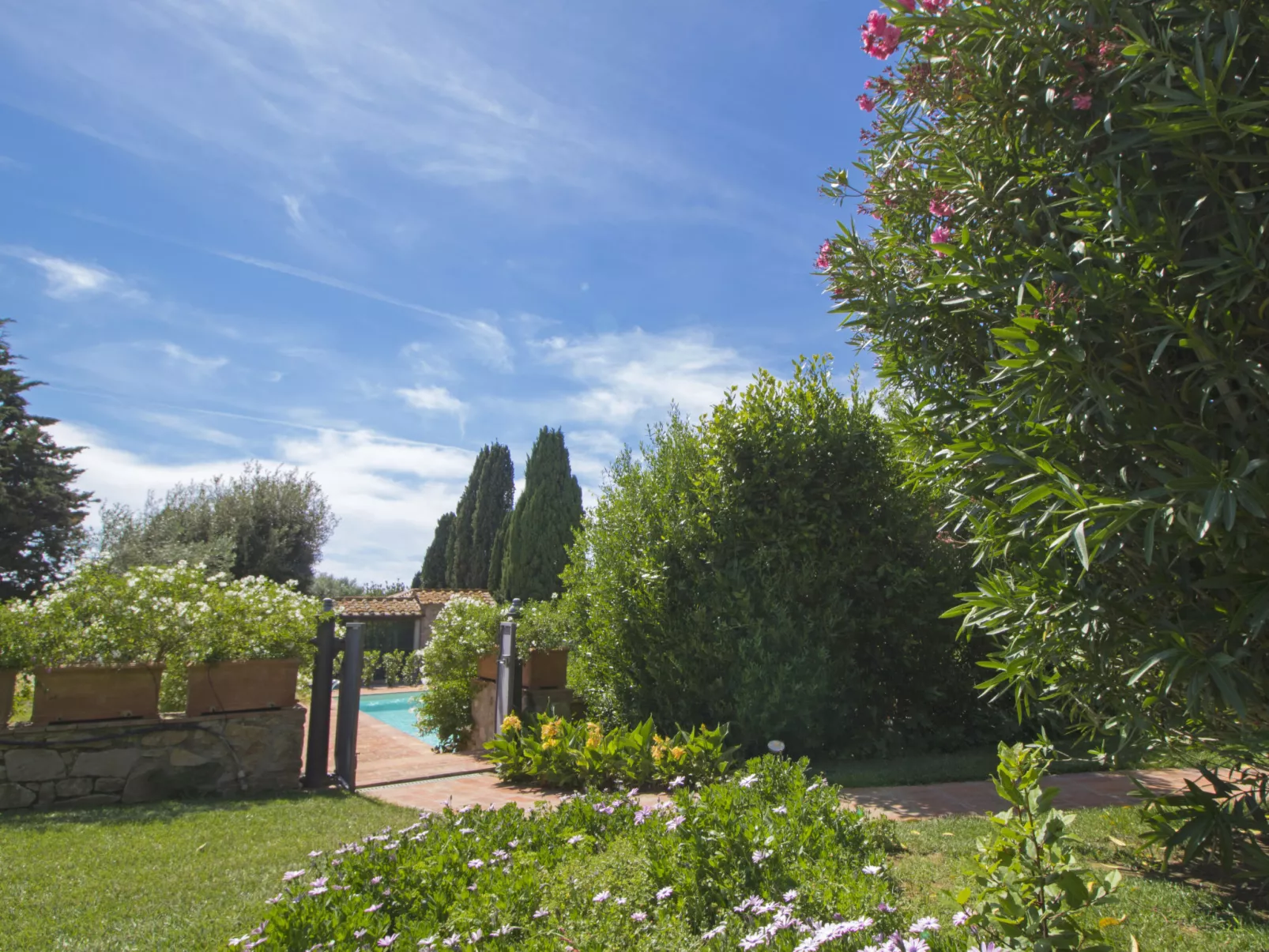 Villa il Pellicano-Outside