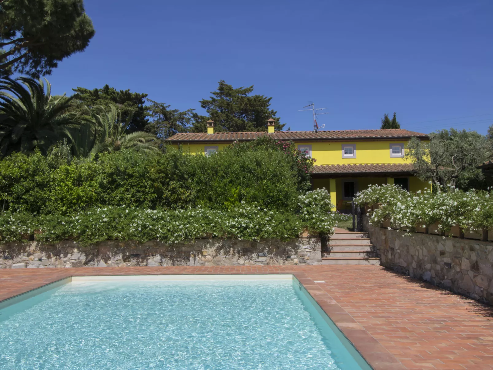 Villa il Pellicano-Outside