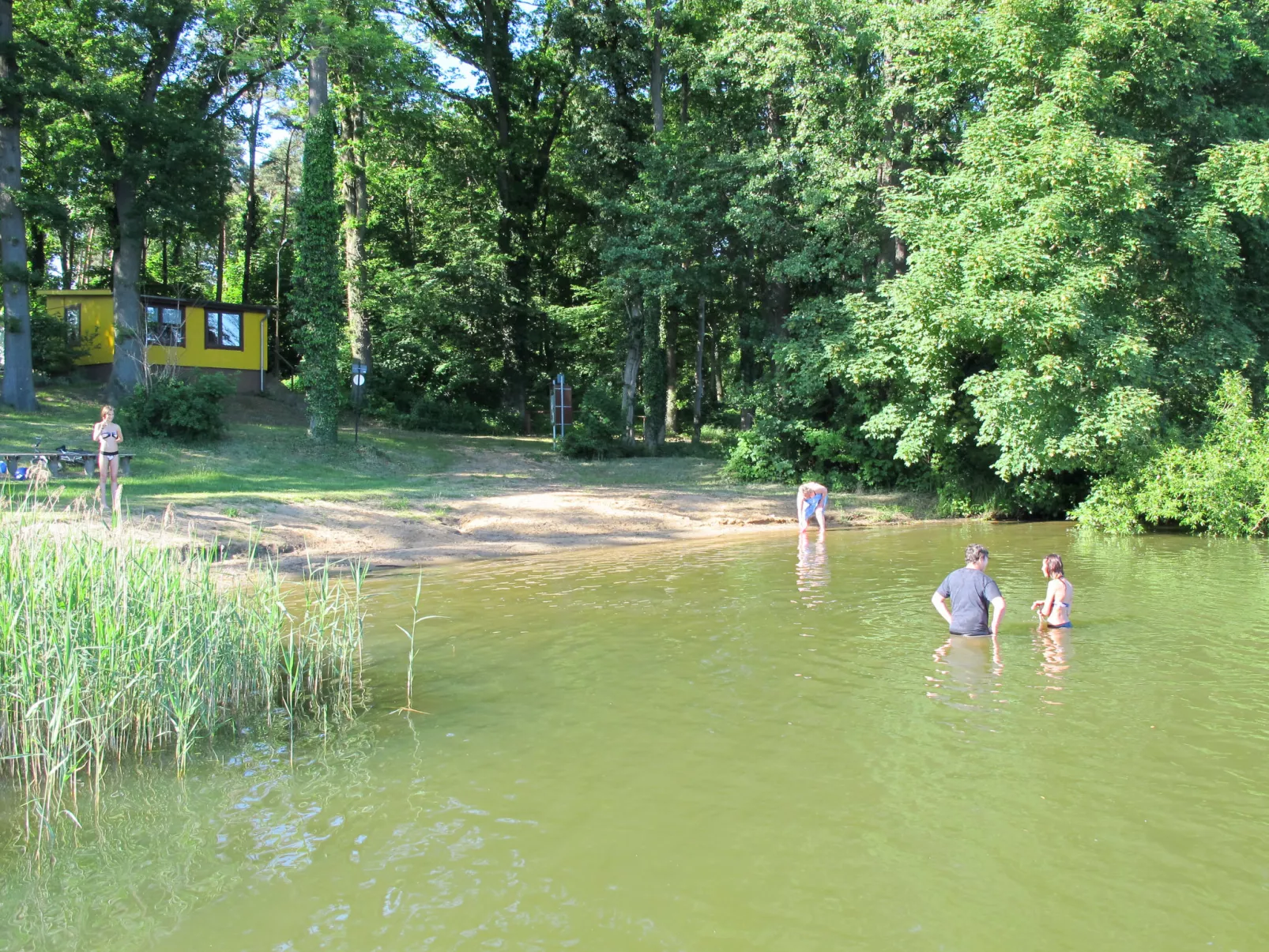 Am Walde-Area