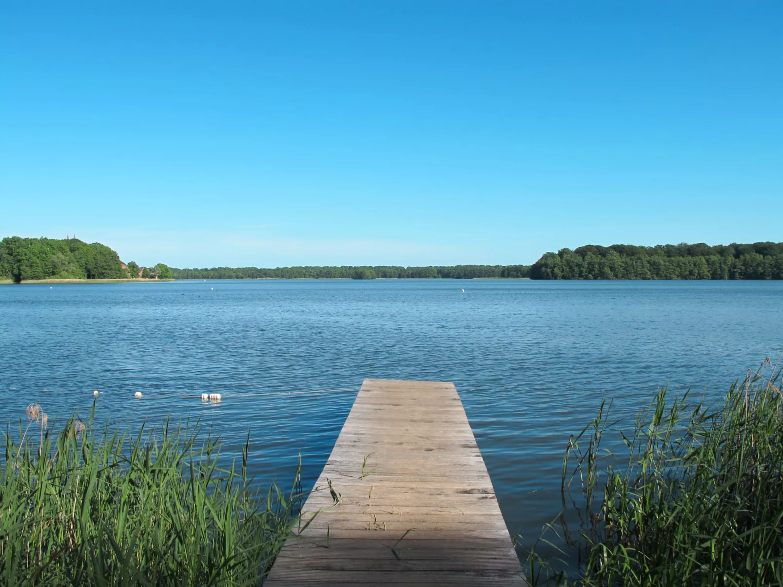 Am Walde-Area