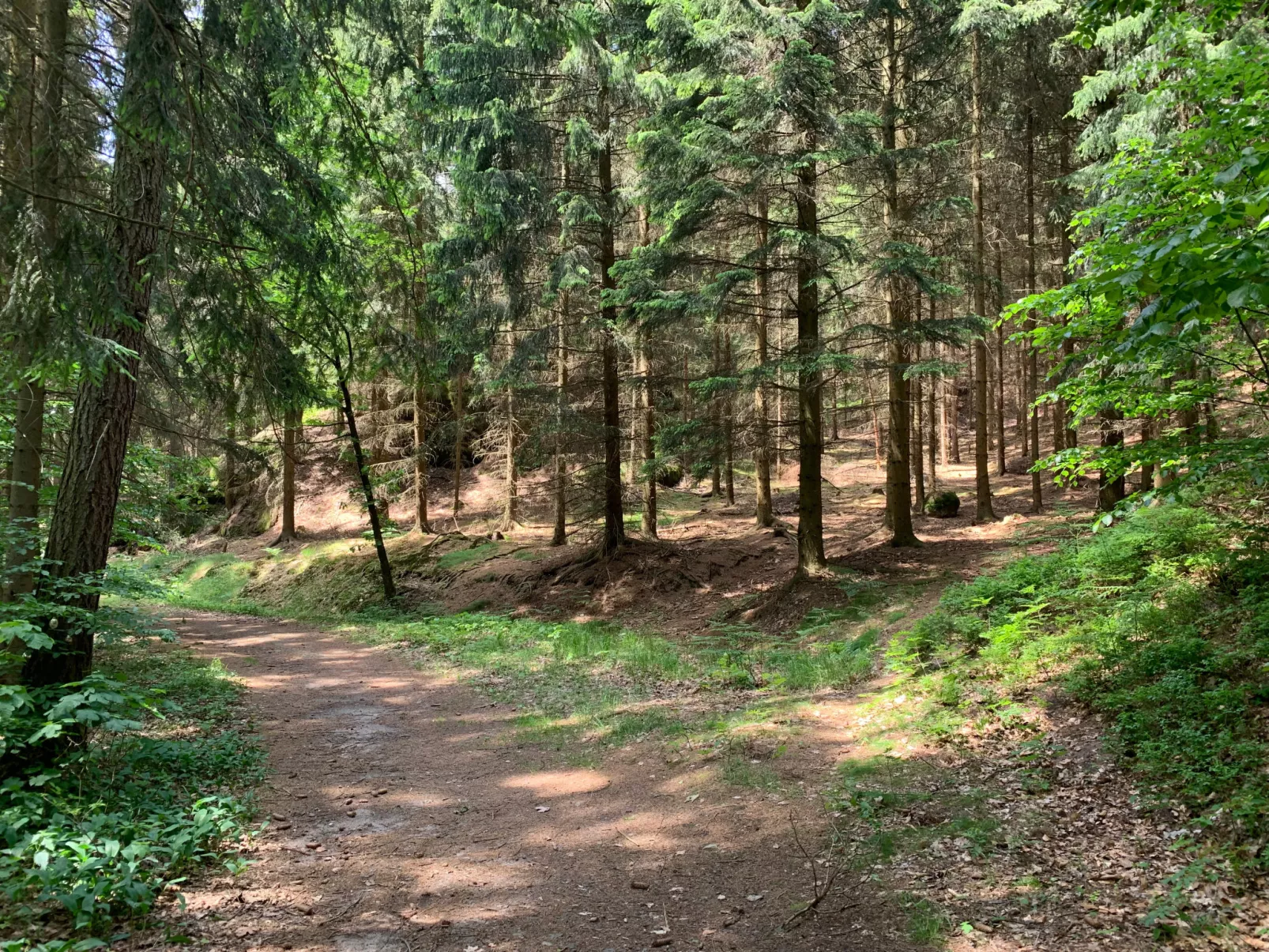 Räuberhauptmann Karasek-Area