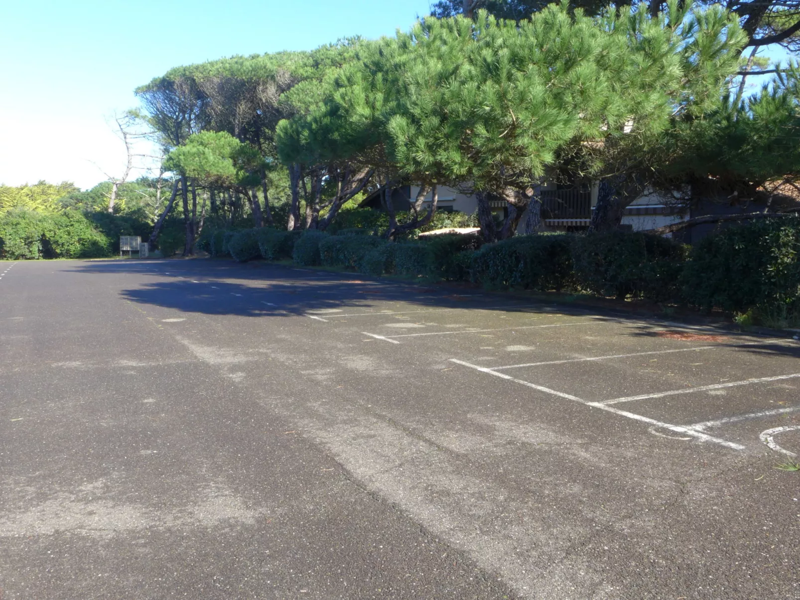 Juncades-Outside