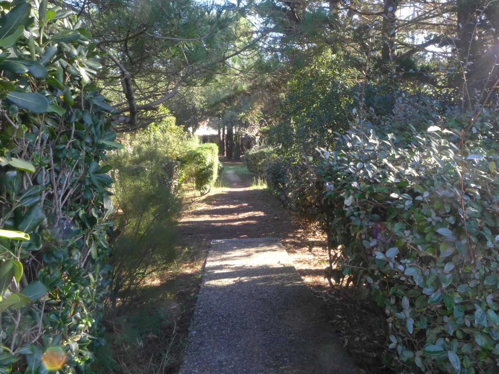 Juncades-Outside