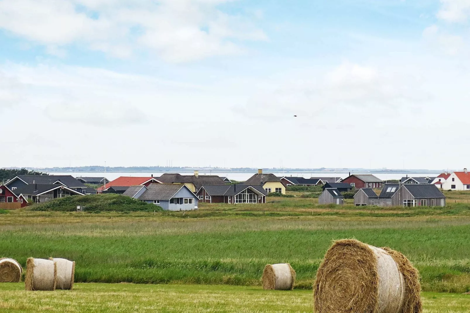 12 person holiday home in Lemvig-View