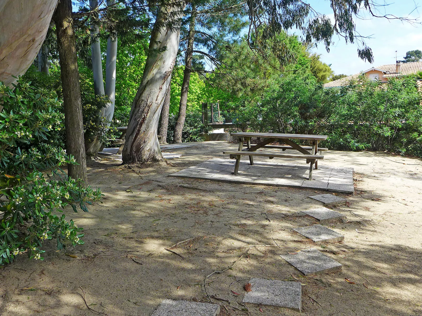 Paradise Océan-Draußen