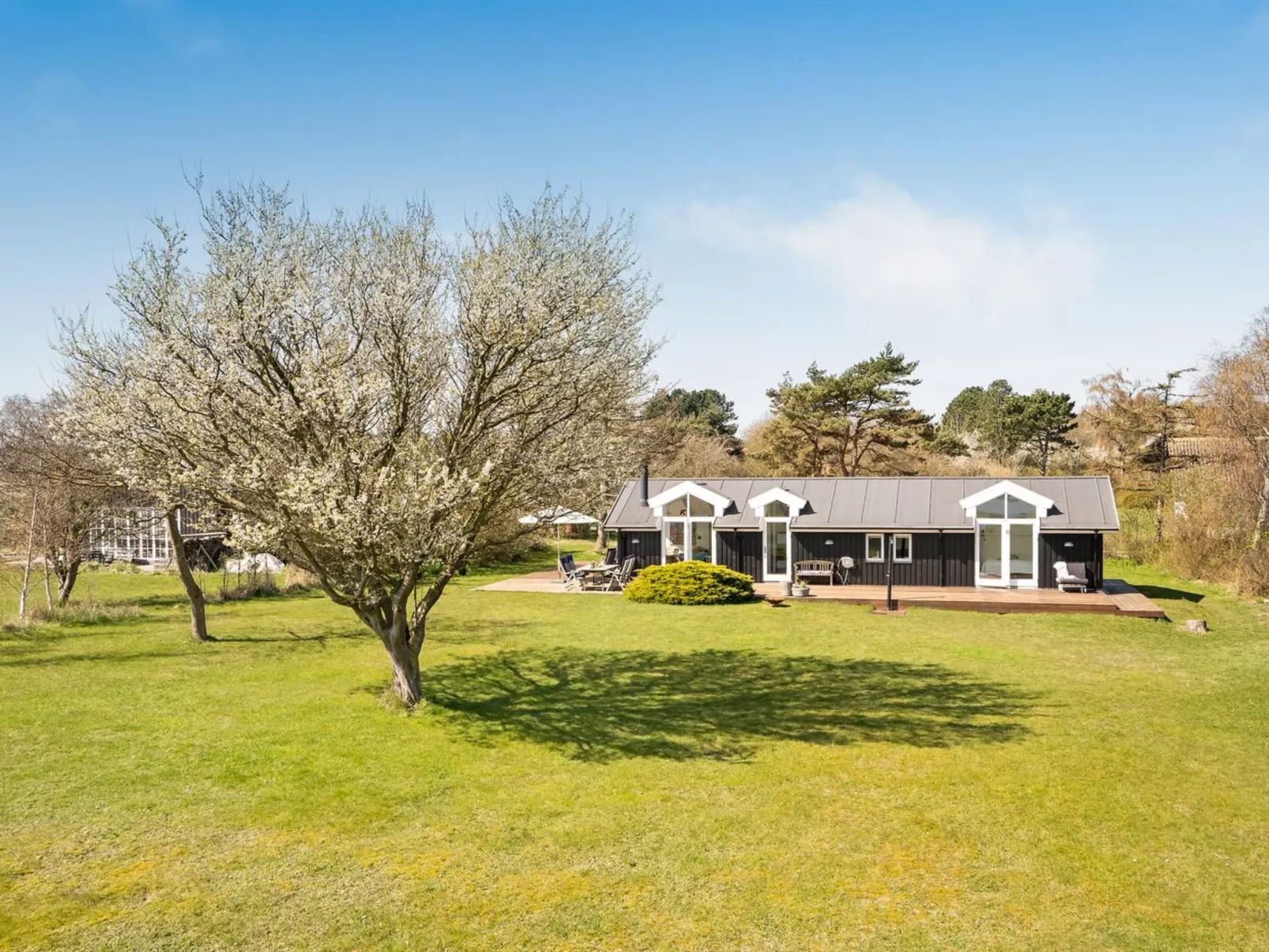 "Trajko" - 100m from the sea-Outside